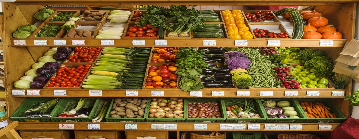 Regal mit verschiedenen Gemüsesorten