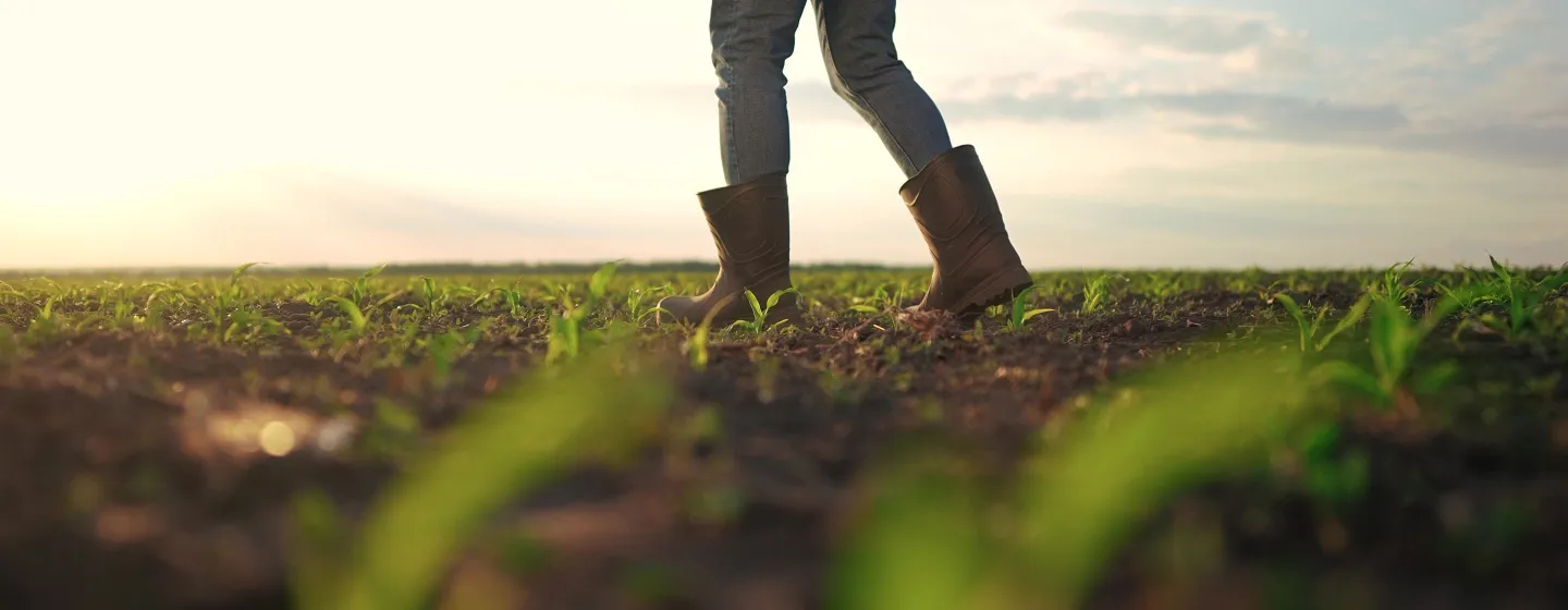 bauern geht mit gummistiefeln über ein gemähtes feld.
