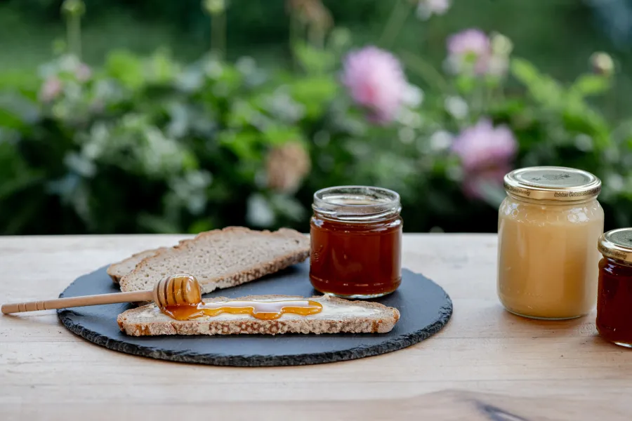 Scheibe Vollkornbrot mit Honig, daneben Honiglöffel, zwei Honiggläser mit unterschiedlicher Honigfarbe auf Holzuntergrund, unscharfer Gartenhintergrund.