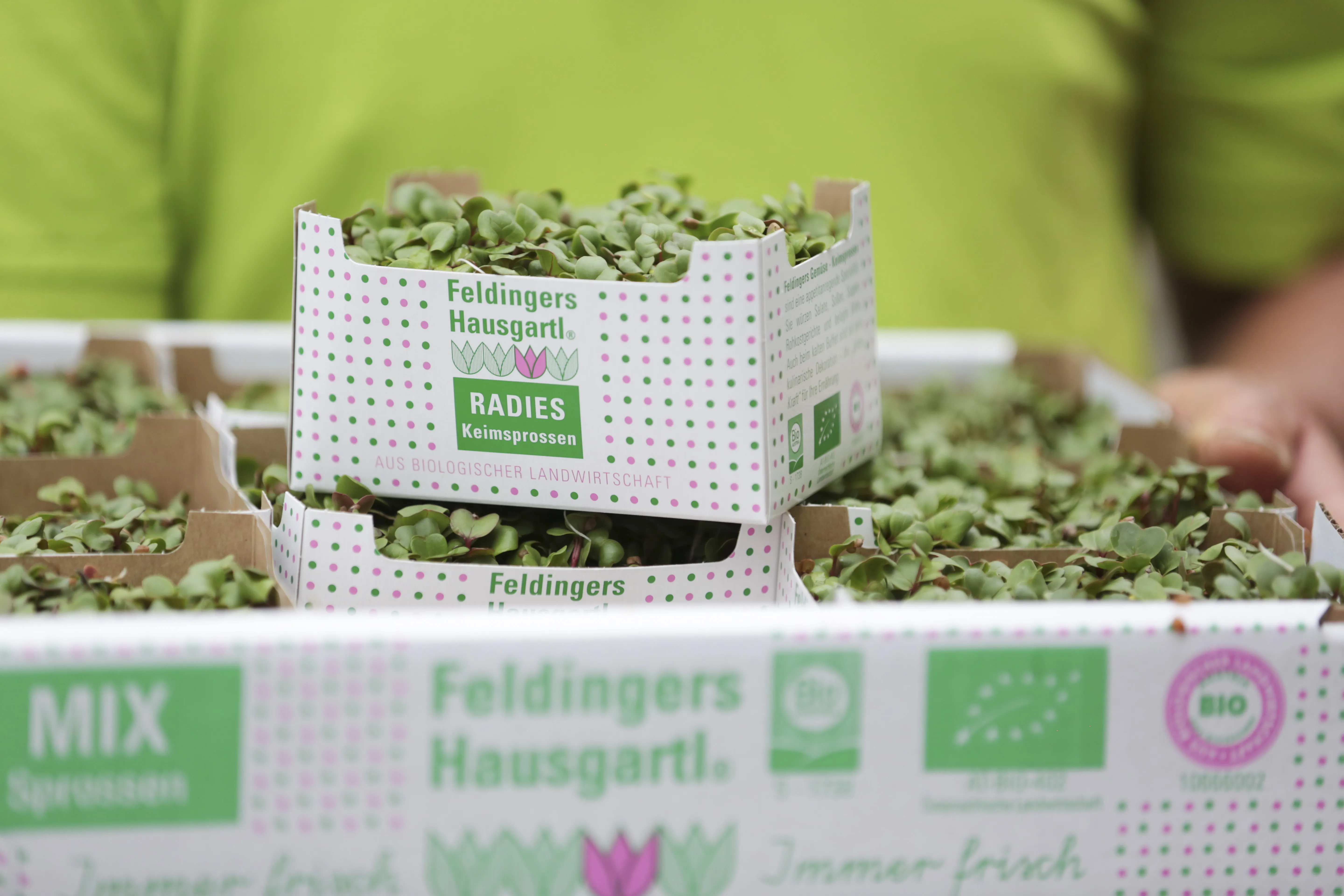 Feldingers Hausgartl