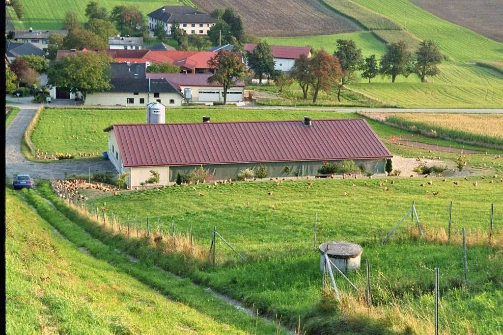 Blumentaler Hühnerhof 