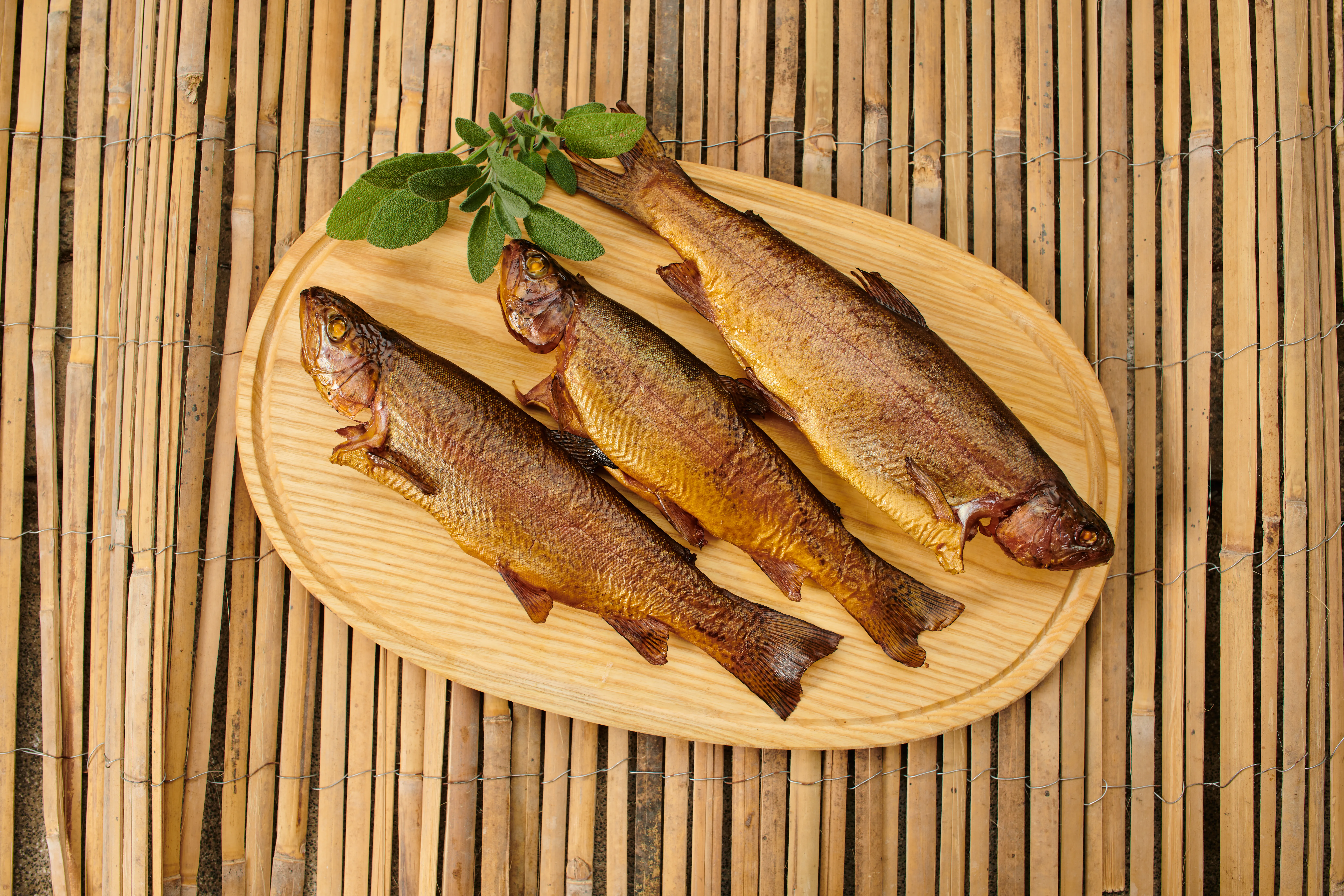 Fisch