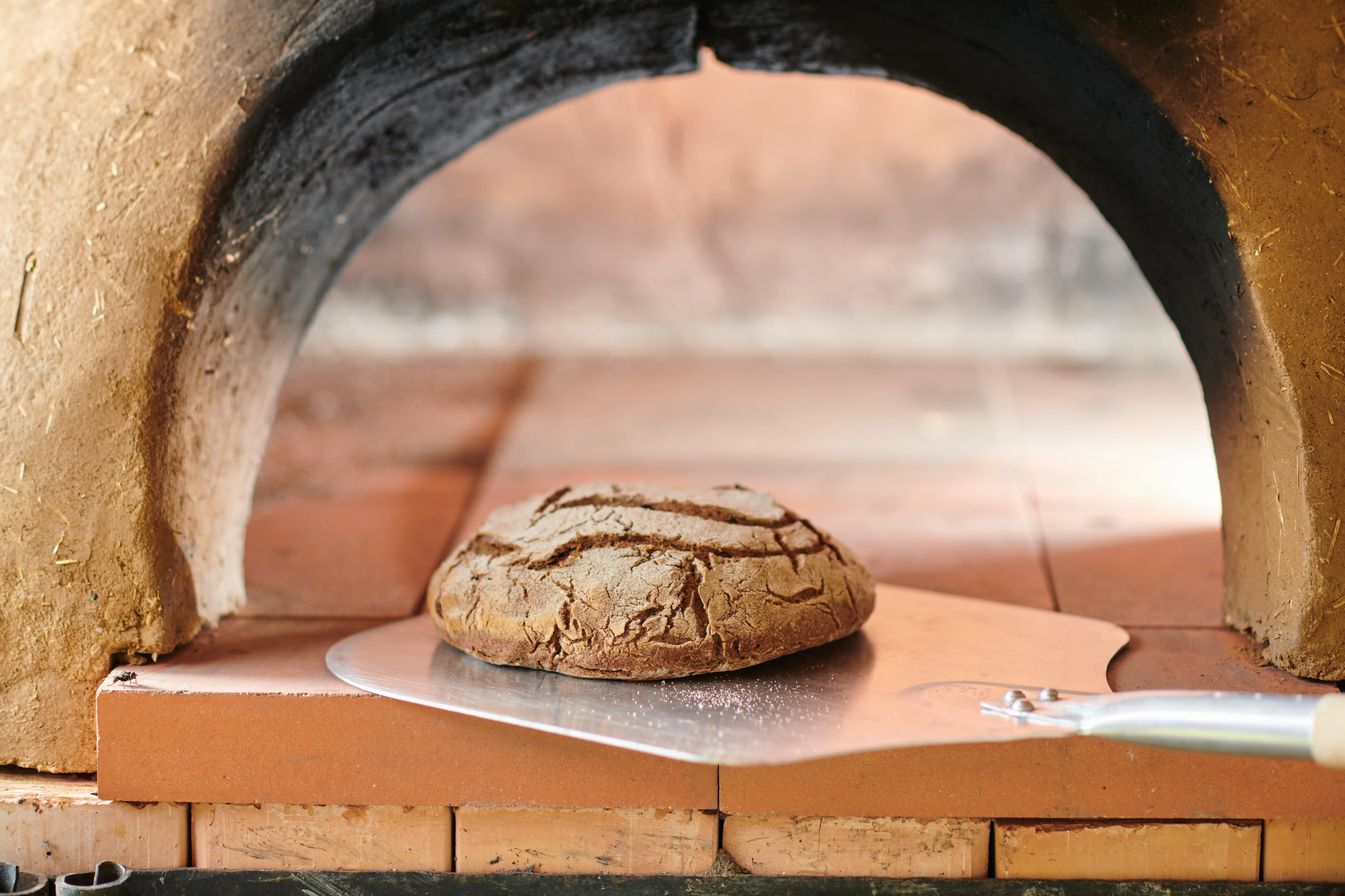 Brot