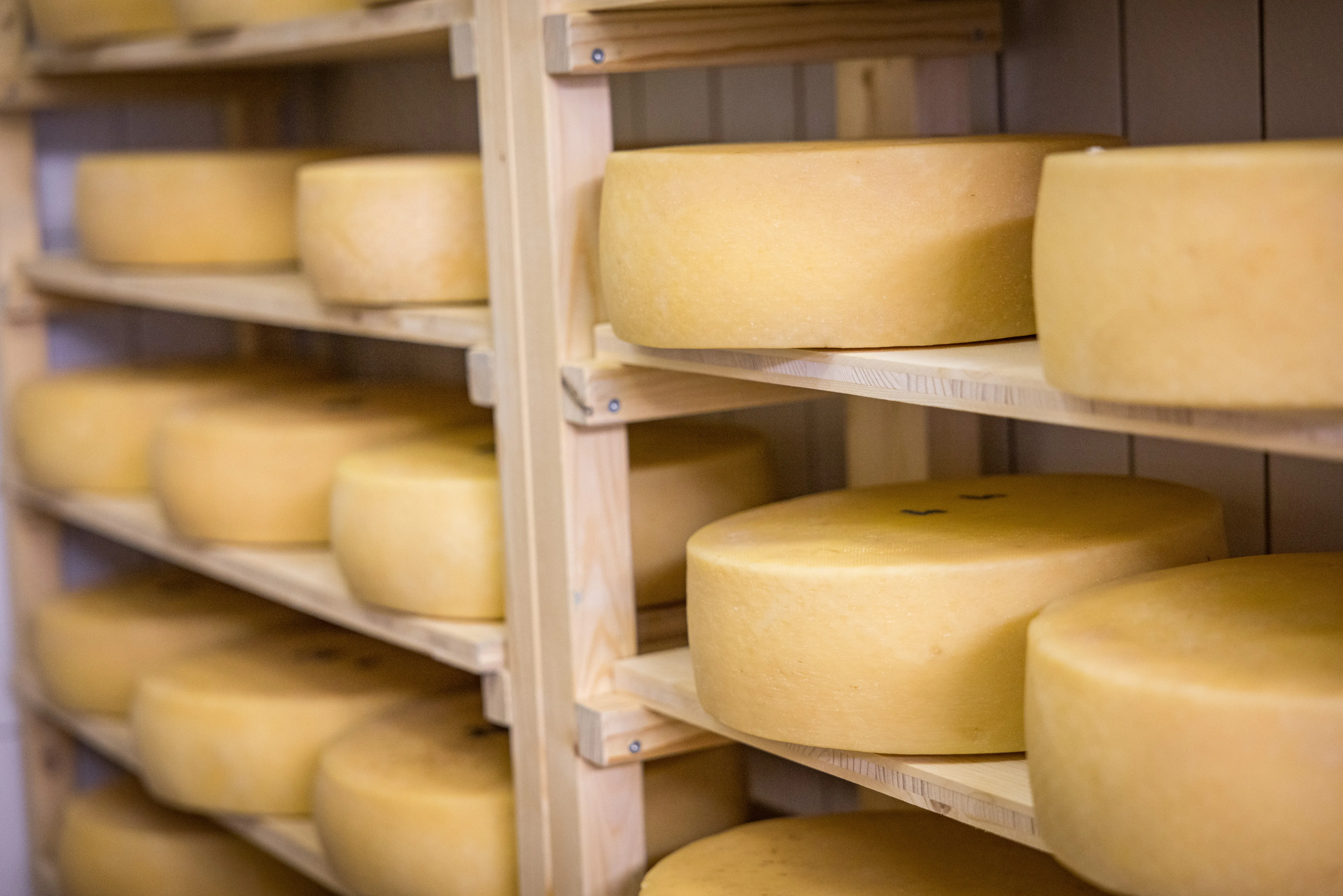 Käse