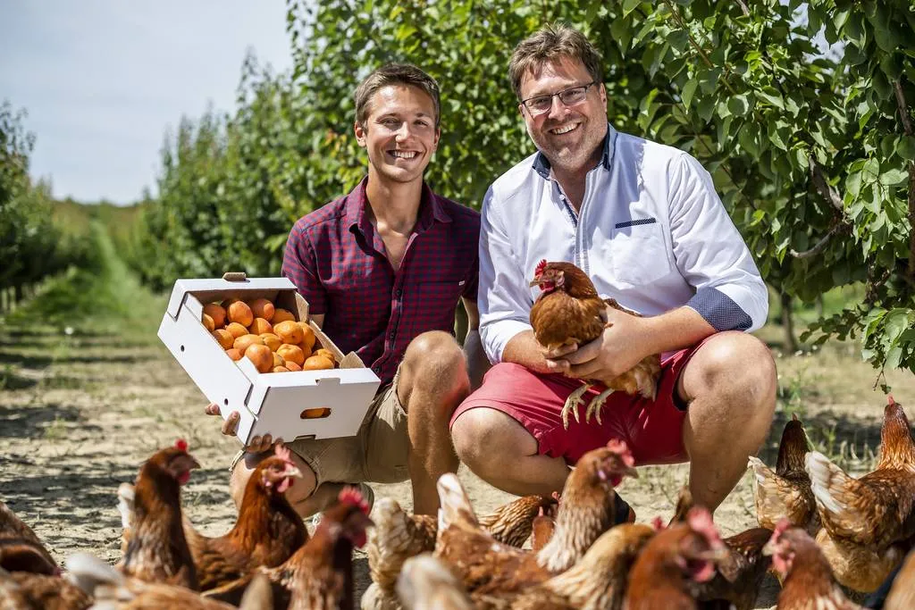 Hühner plus Marillen