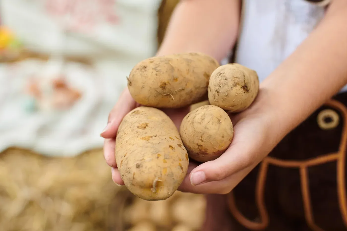 Kartoffel