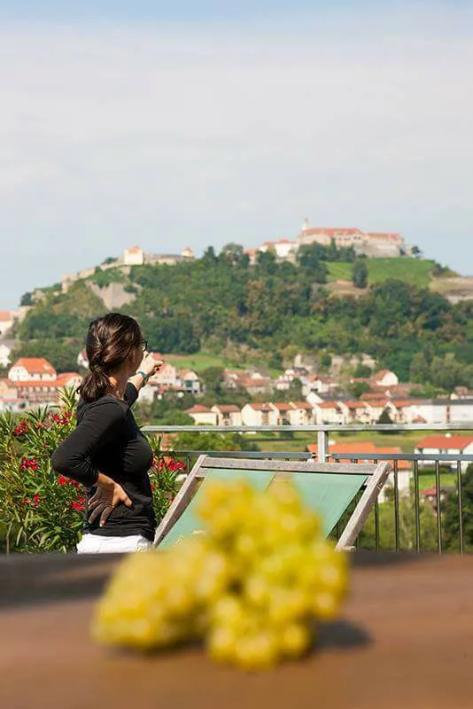 Ausblick Riegersburg