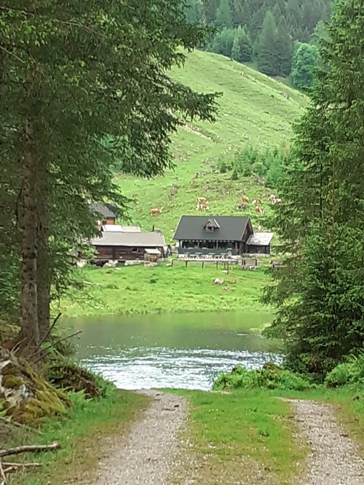Blick auf Alm