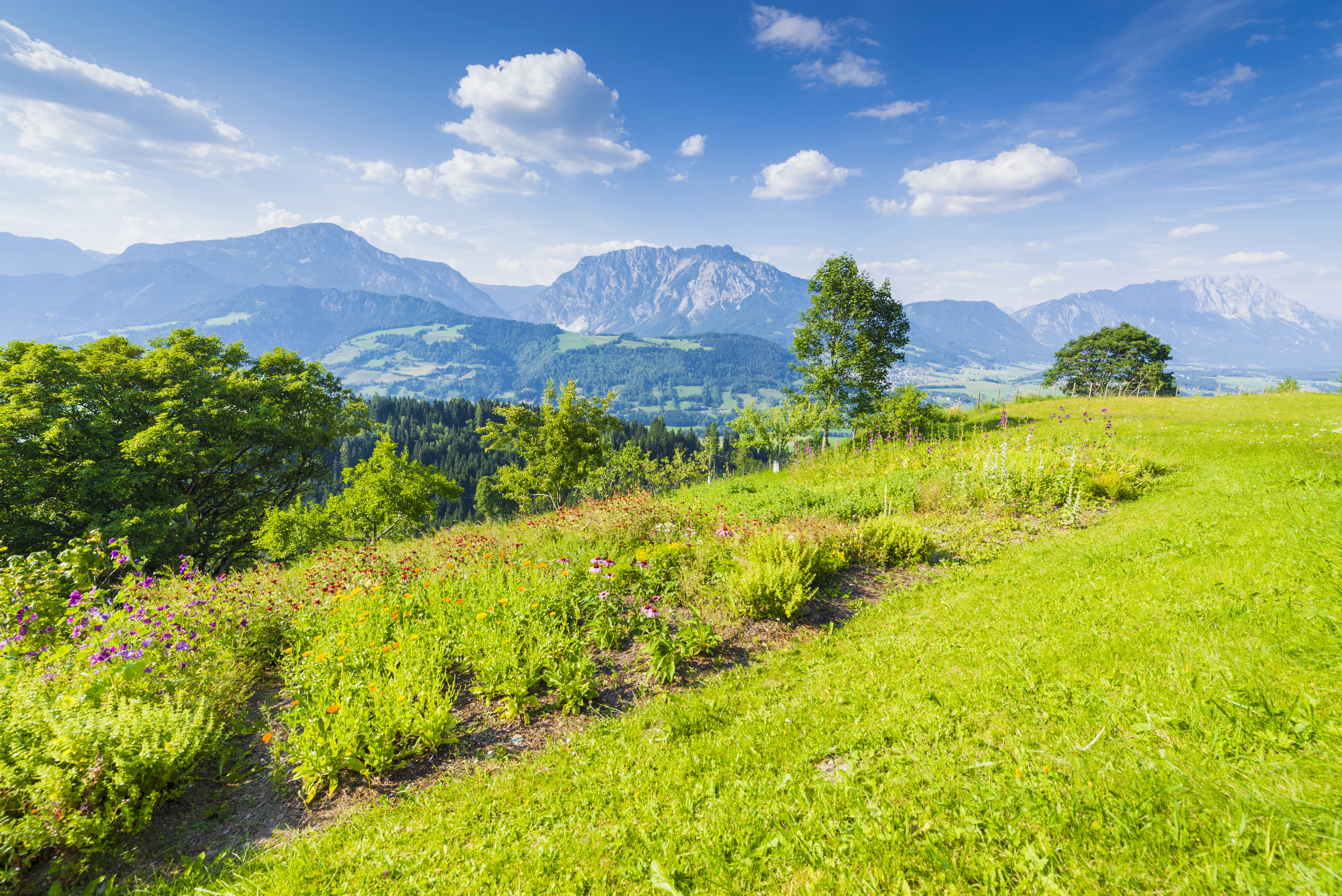 Ausblick Kräuterbeet
