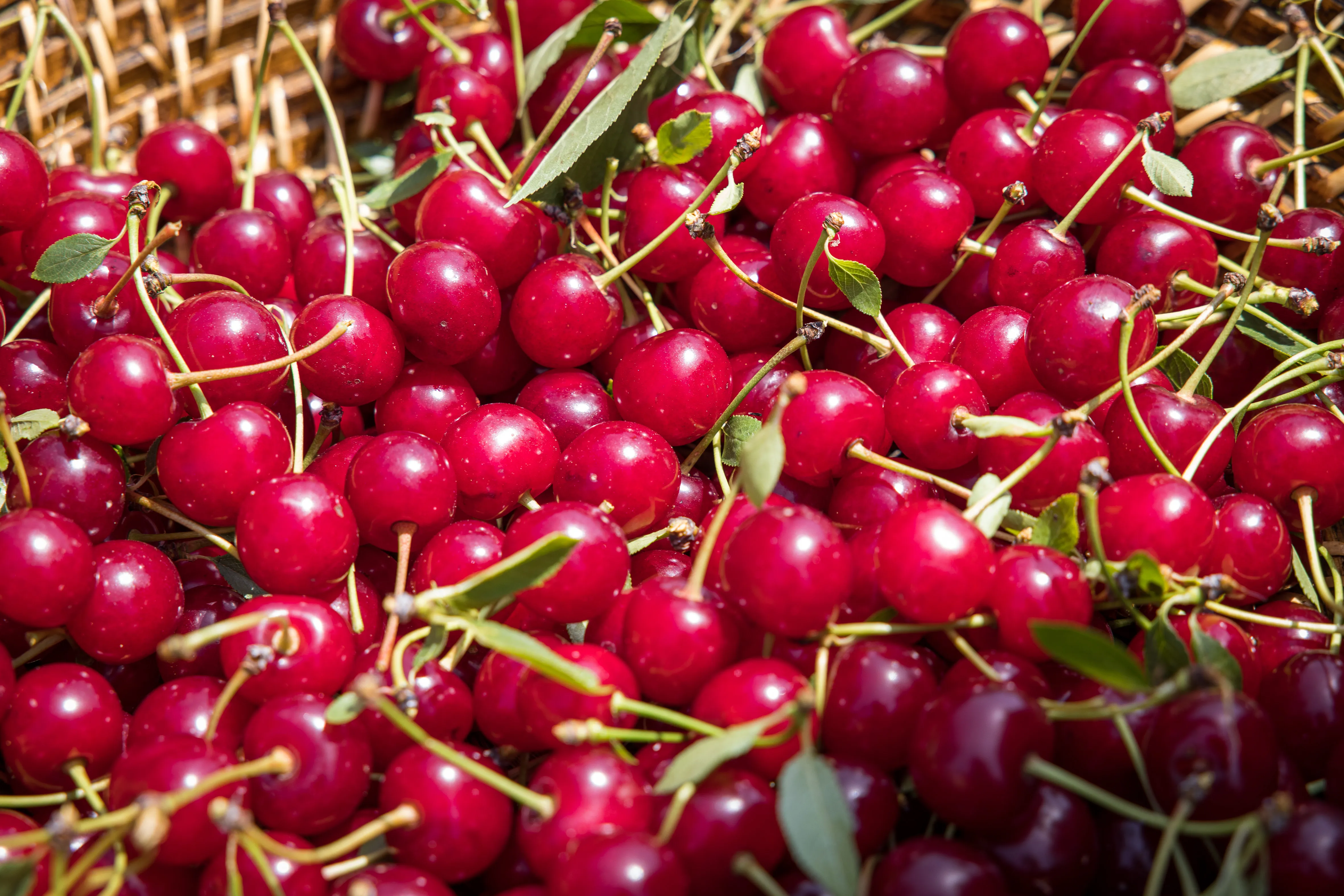 Obst
