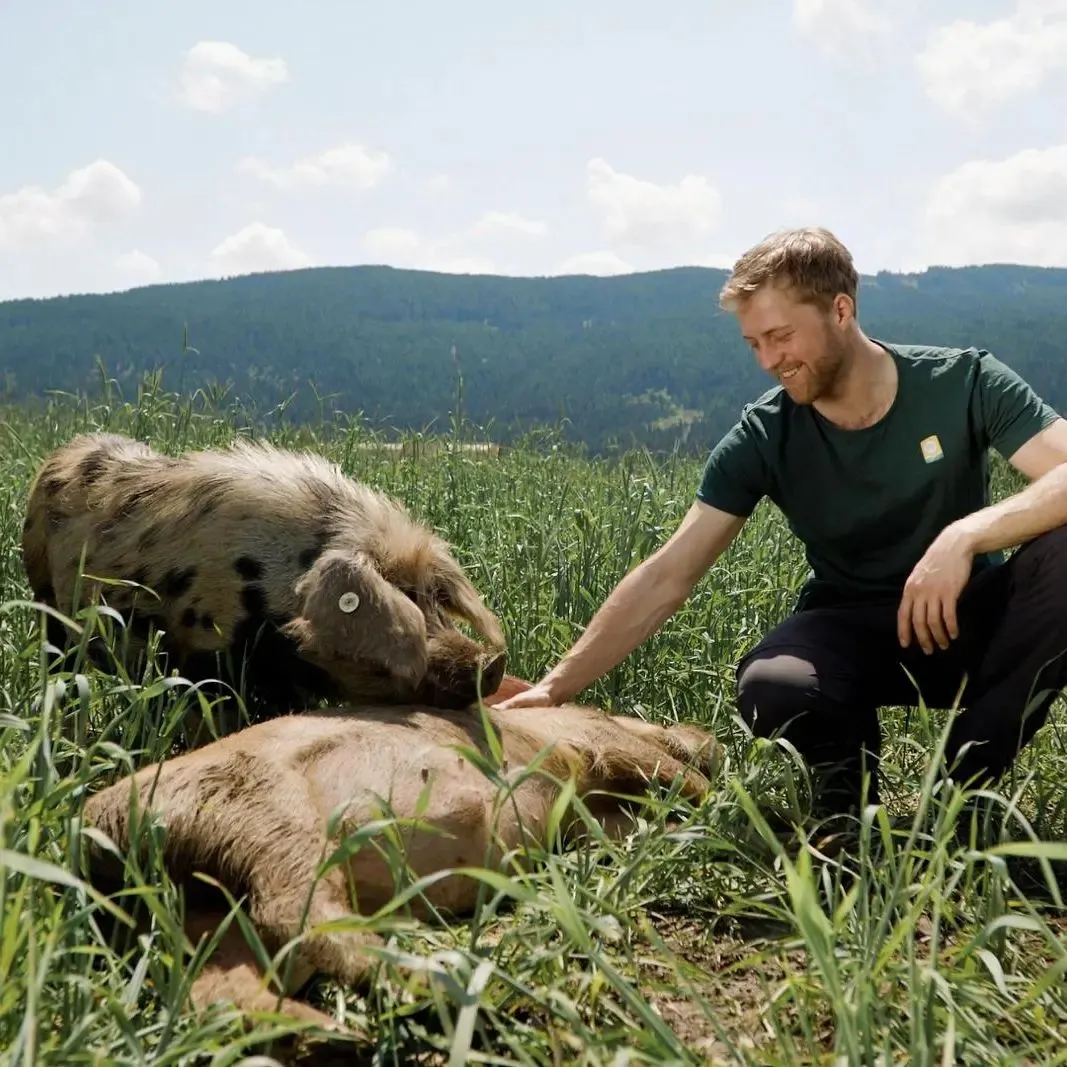 Schweine Biohof Sauschneider, Fam. Löcker