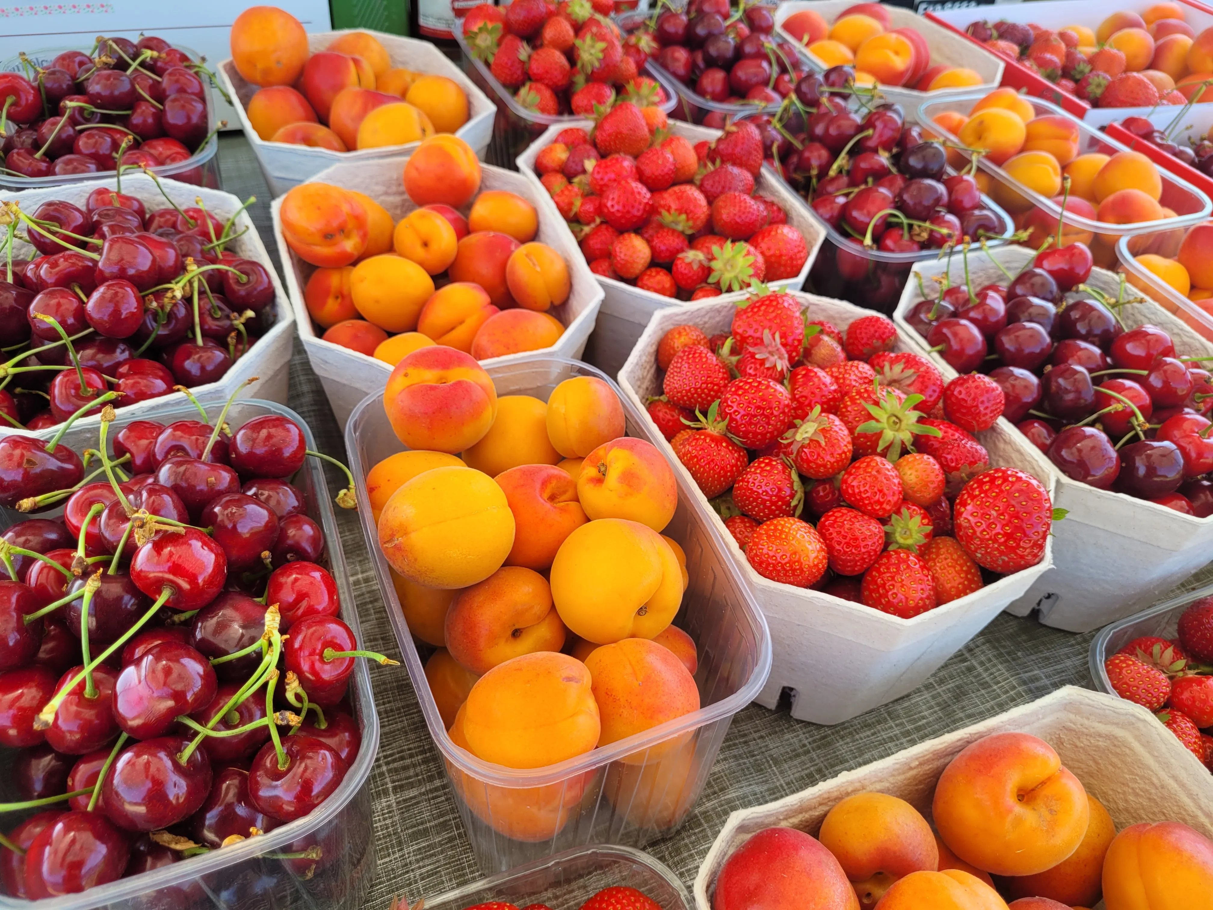 Obst