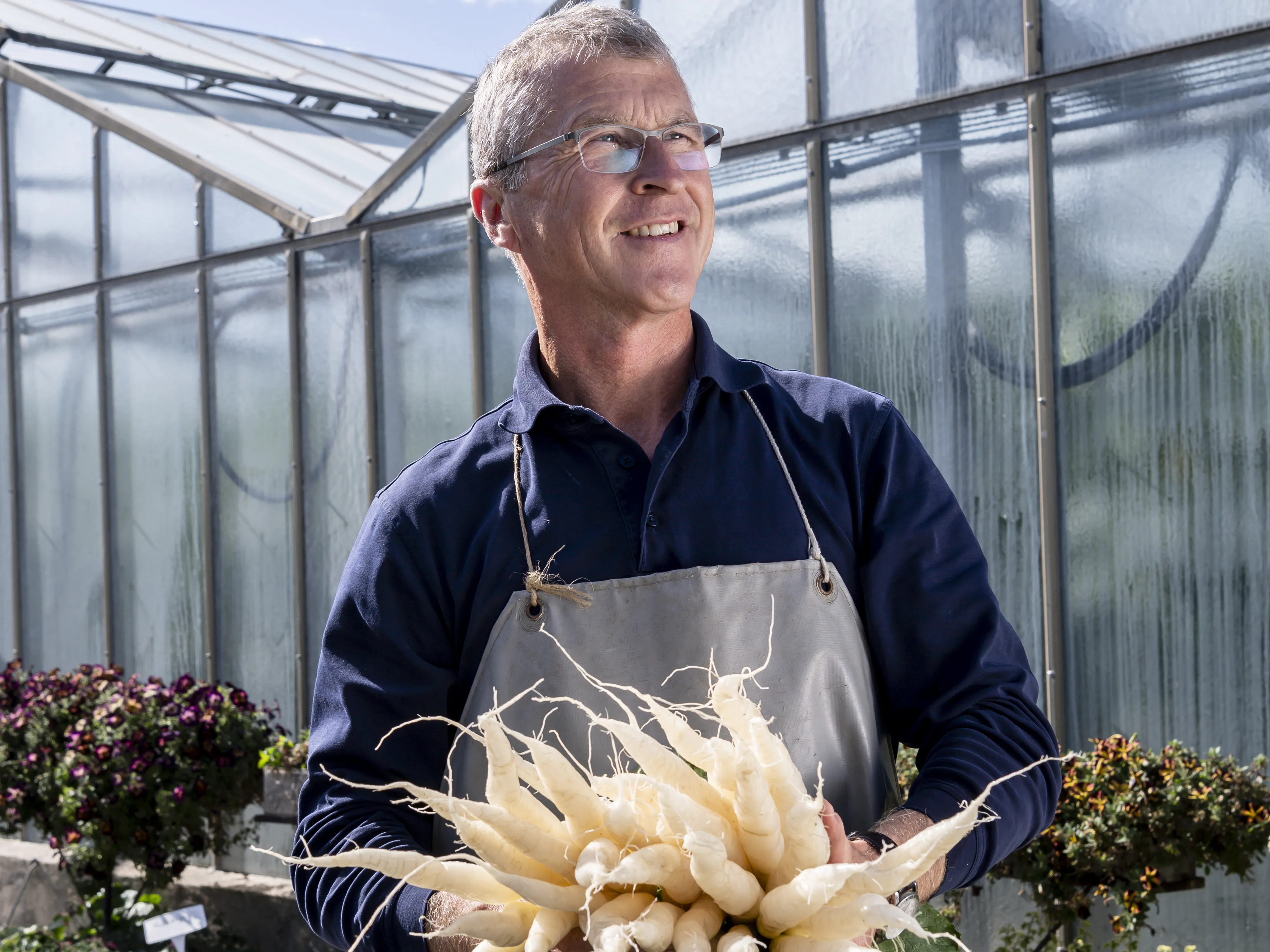 Glashaus mit Gemüse