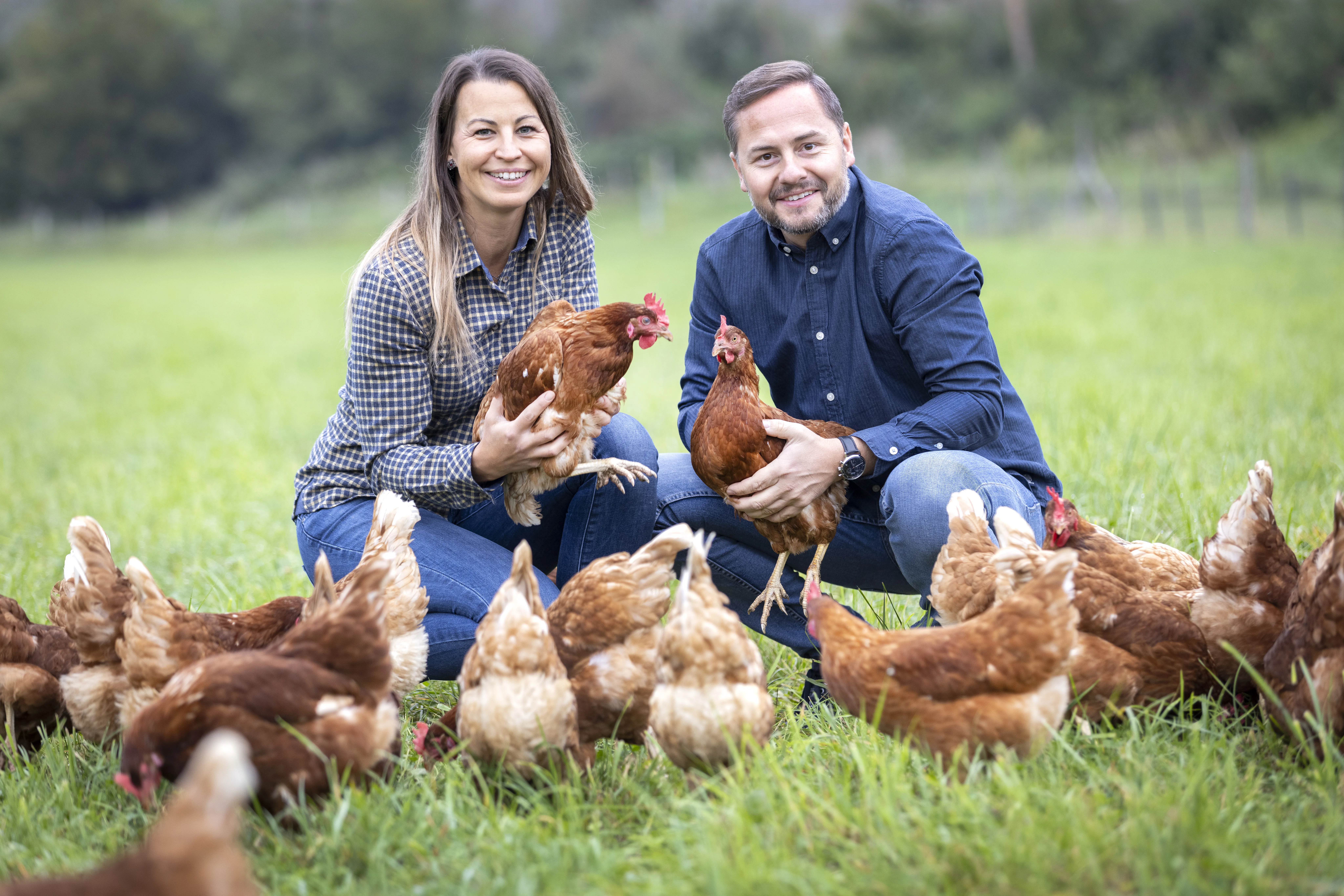 Familie mit Hühnern