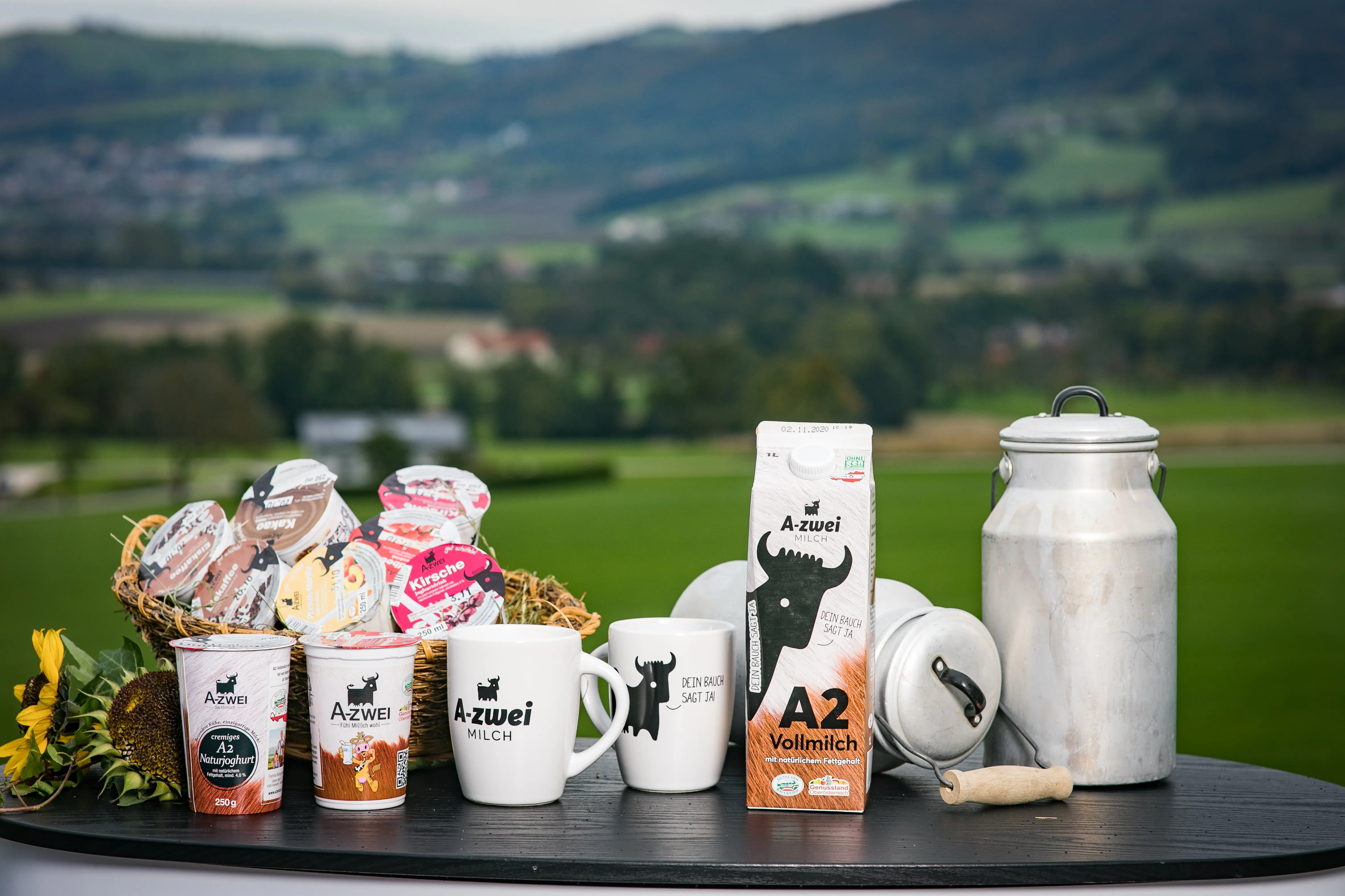 Auf einem schwarzen Tisch stehen diverse Podukte, Heferl und Milchkanne mit einer Sonnenblume, im Hintergrund grüne Wiese, Bäume und Hügel