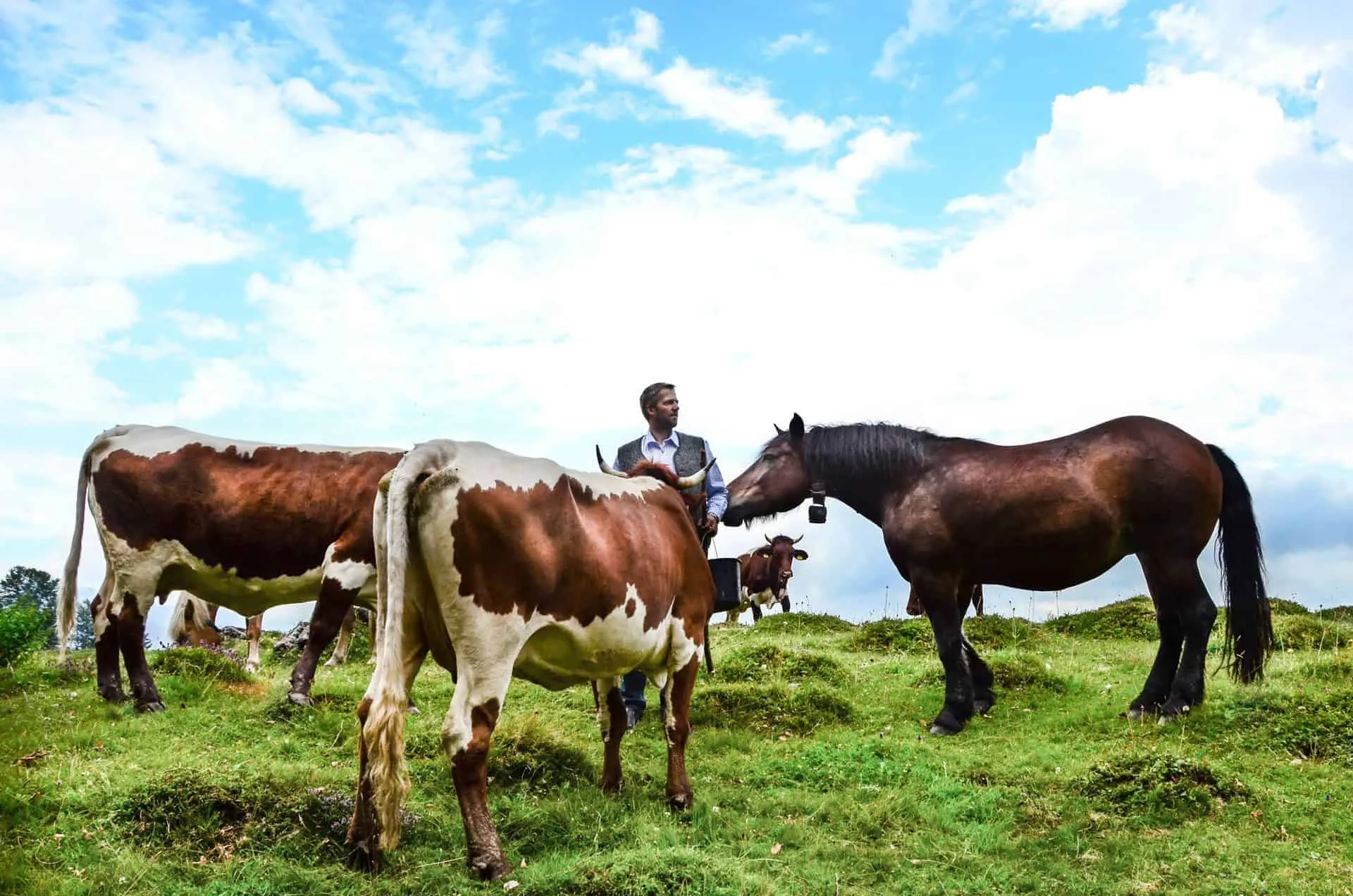 Bioarche Rocherbauer Josef Quehenberger©-Bioarche Rocherbauer