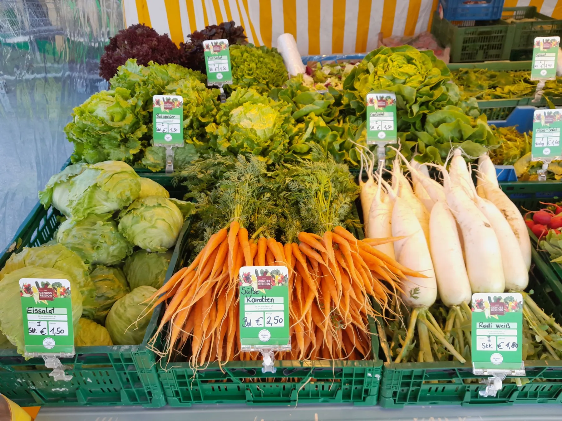 Gemüse Schneiderbauer©Schneiderbauer