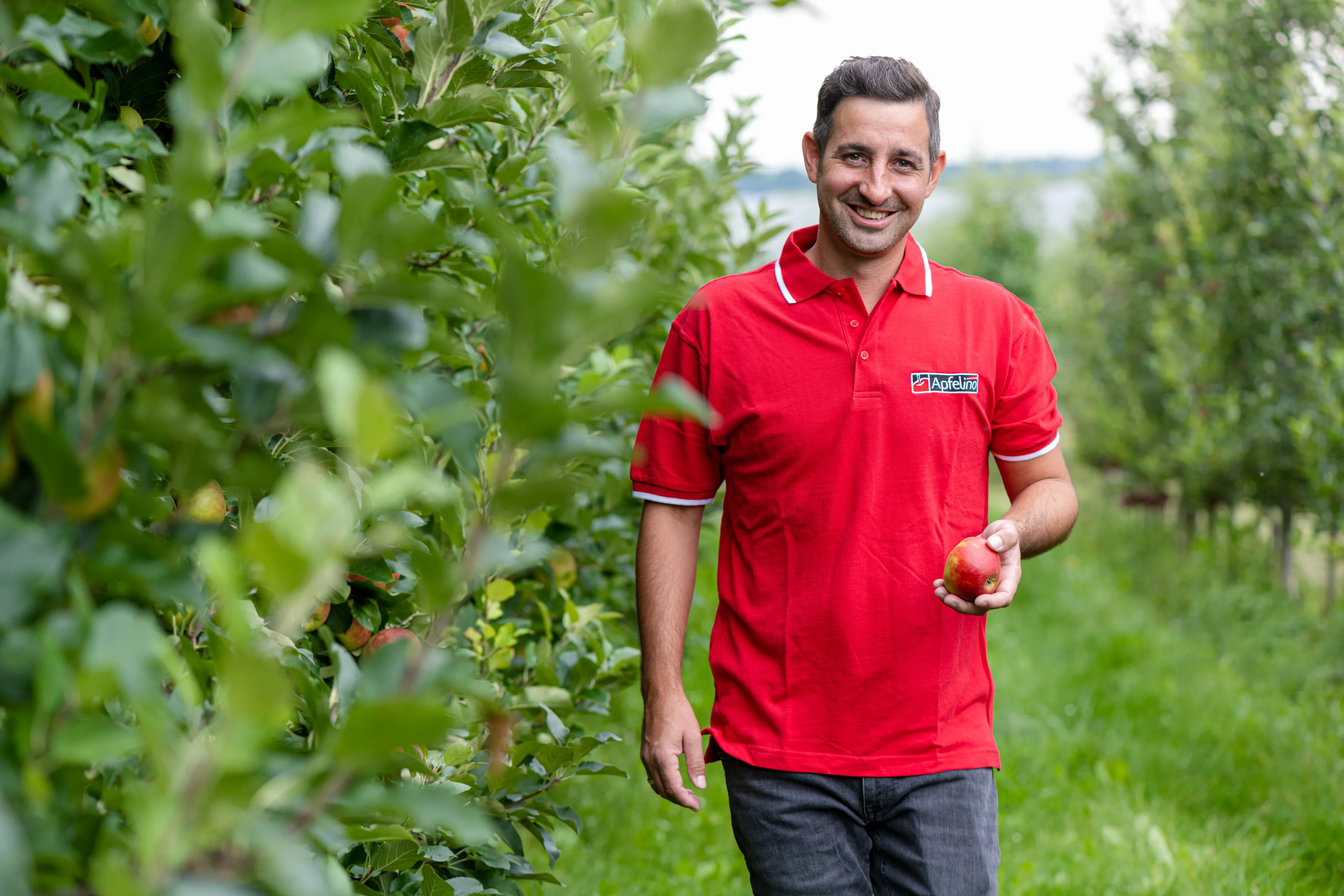 Ein Mann im roten T-Shirt steht inmitten einer Obstplantage, im Hintergrund grüne Wiese und Bäume