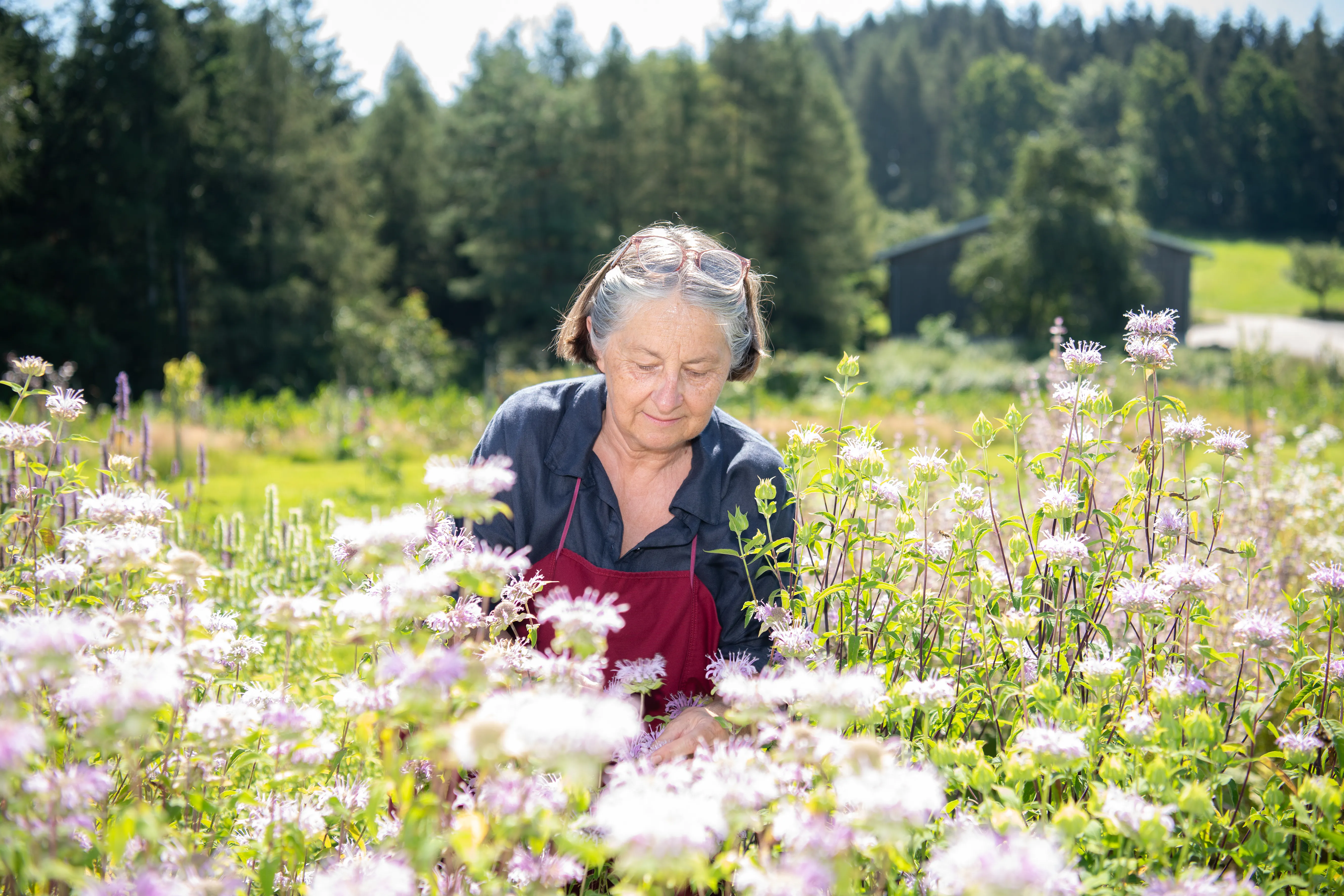 Eine Frau hockt in einem Feld mit weißen Blüten, dahinter grüner Wald