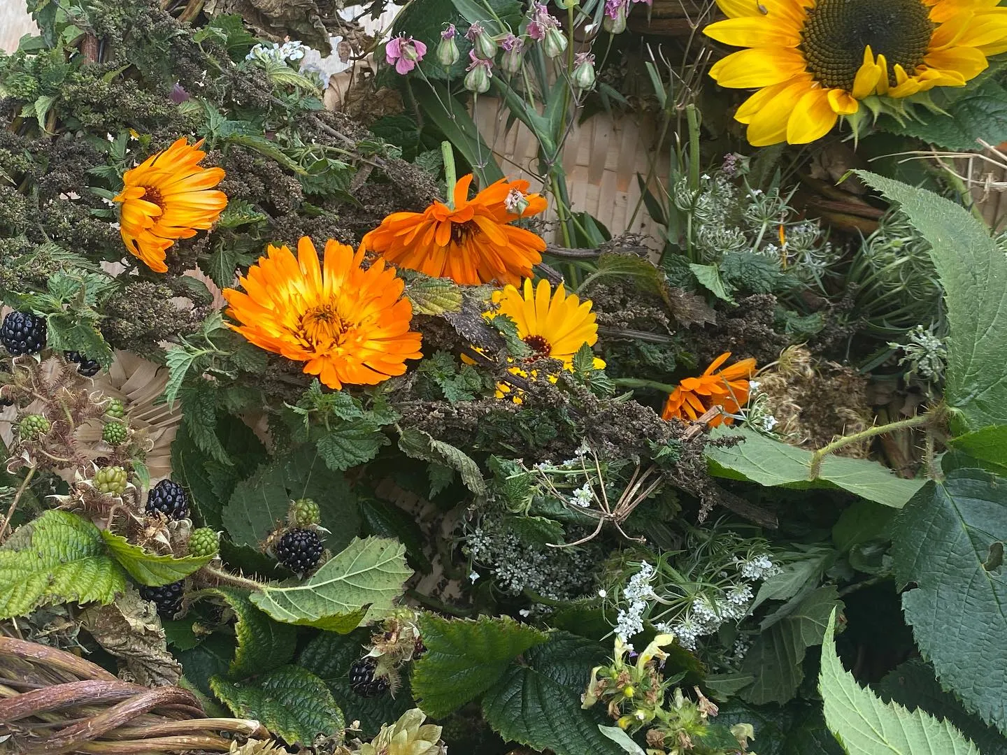 Leierhof Erntekorb 2023 @ Leierhof