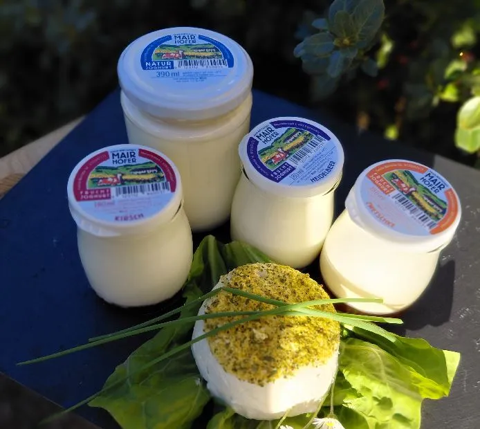 Auf dunklem Untergrund stehen vier Gläser mit Milch bzw. Joghurt, daneben ein Frischkäse mit Kräuter