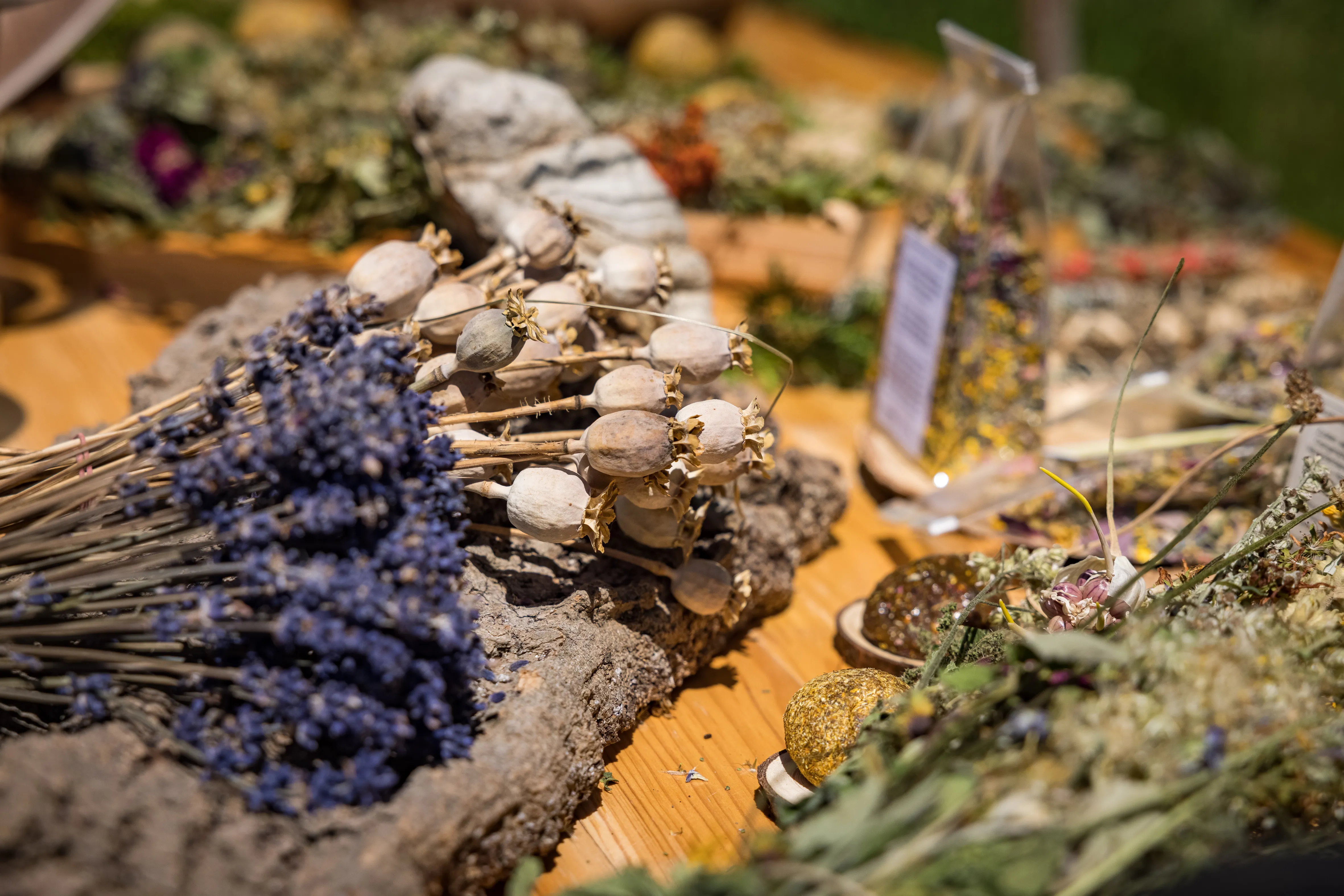 Auf einem braunen Tisch liegen verschiedene Kräuter wie blauer Lavendel, Mohnkapseln, usw. 