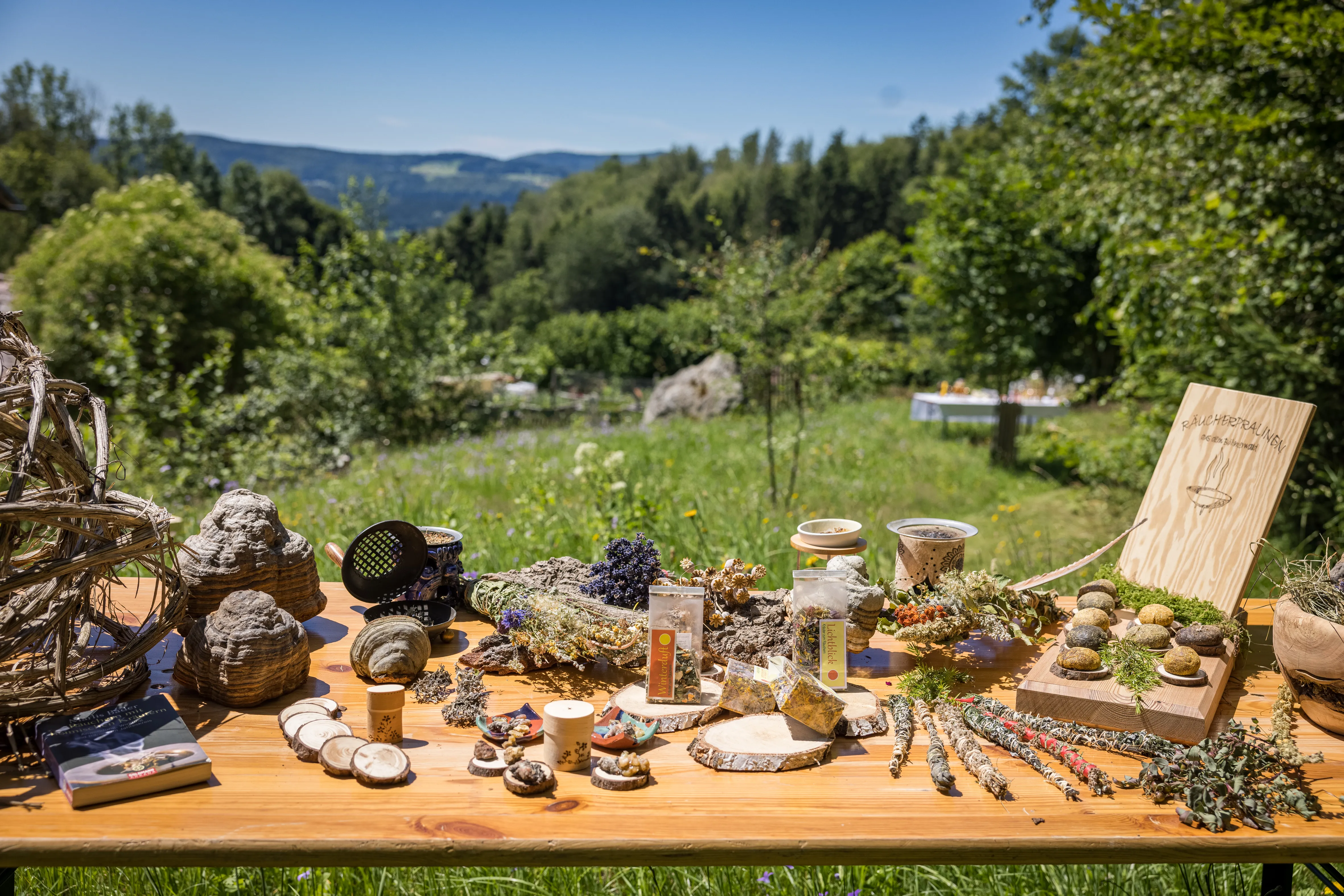 Auf einem braunen Tisch liegen verschiedene Kräuter und Kräuterprodukte, teilweise in kleinen Dosen oder Sackerl. Dahinter grüne Wiese und grüne Wälder.