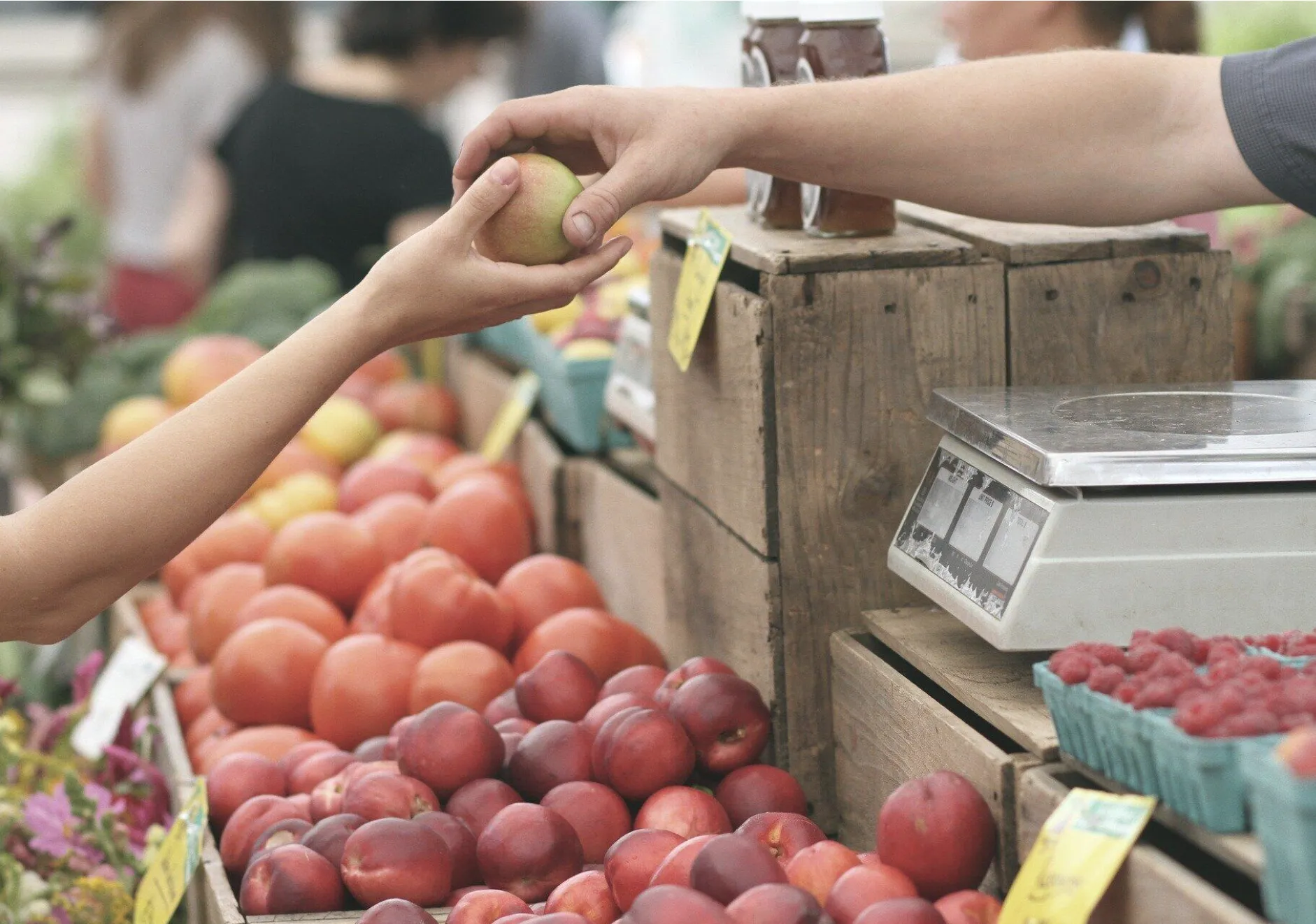 Eine Auslage von frischen, bunten Äpfeln und anderen Früchten auf einem Marktstand. Dazu eine Waage zum Wiegen der gekauften Produkte.