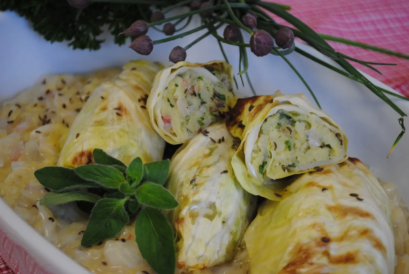 Weißkrautroulade auf Mostkraut - In einer Auflaufform befinden sich halbierte Krautrouladen mit Erdäpfelfülle.