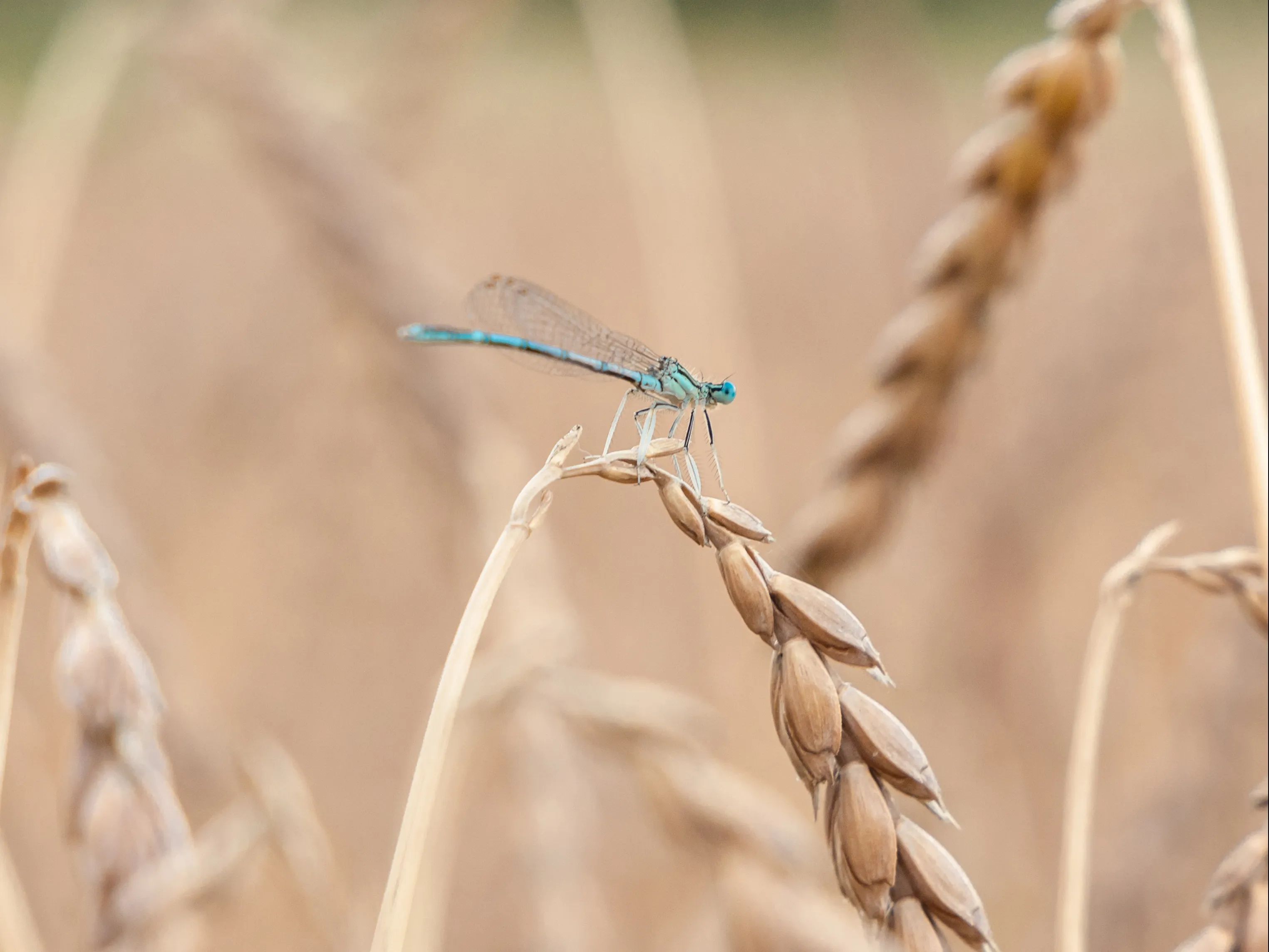Biodiversität ist uns wichtig 