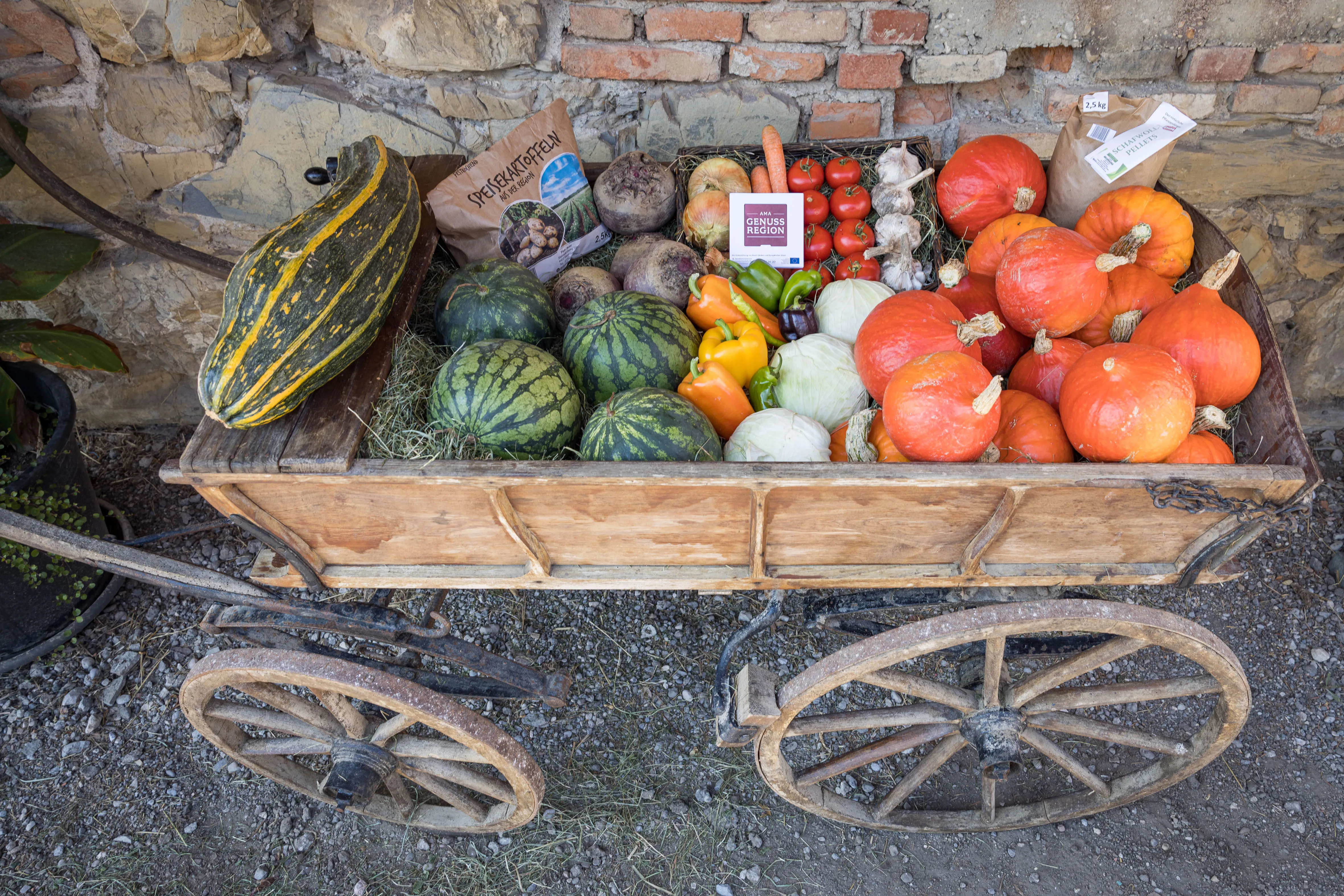 Auf eine hölzernen Leiterwagen sind verschiedene Gemüsearten wie Kürbisse, Tomaten, Paprika usw. gelegt
