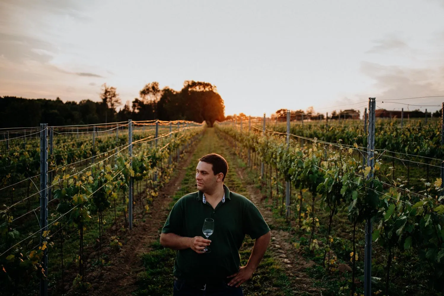 Ein Mann steht in einem großen Weingarten und hält ein Glas Wein in der Hand; im Hintergrund Bäume und Himmel