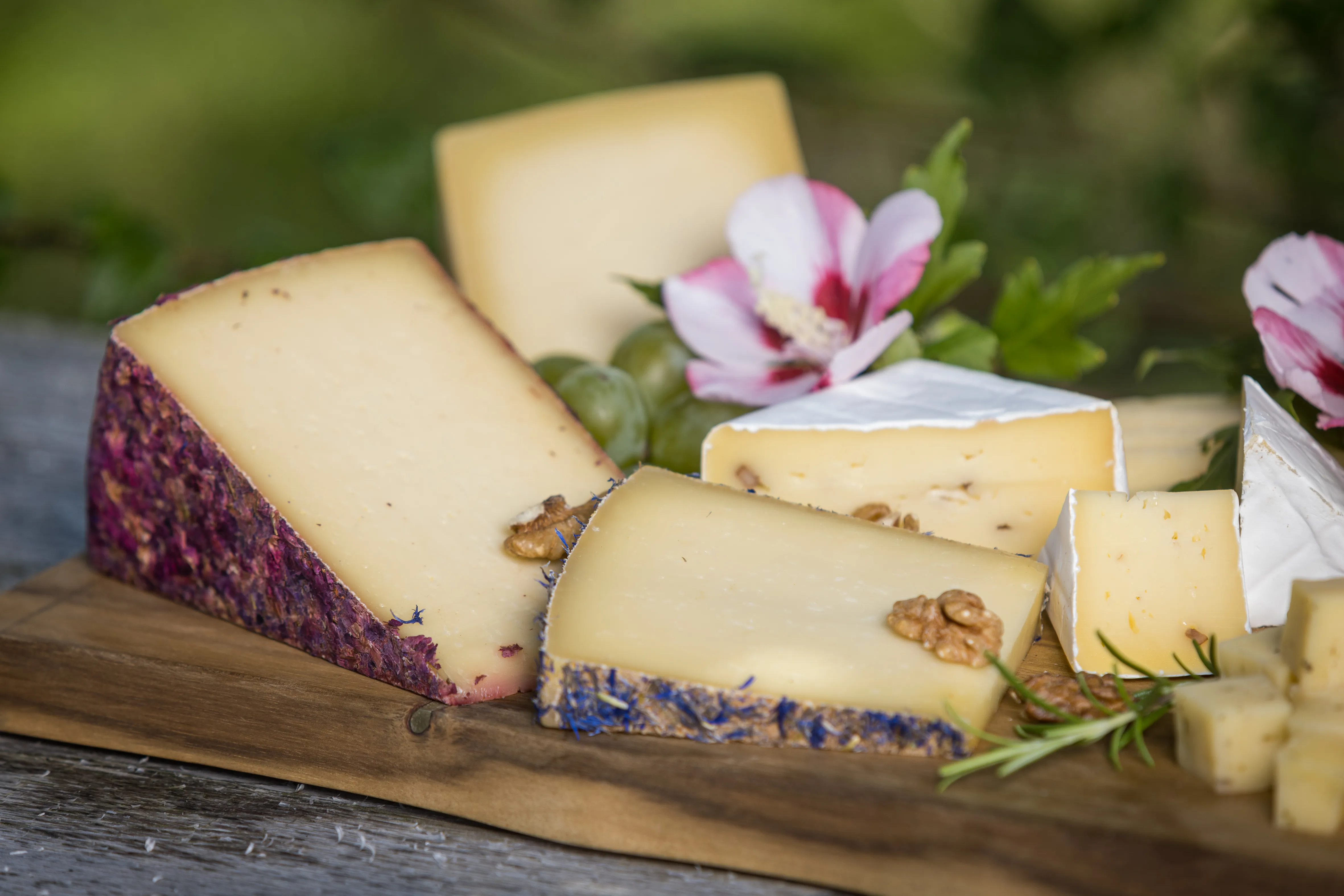 Auf einem Holzbrett liegen verschiedene Käsesorten garniert mit rosa Blüten und Nüssen