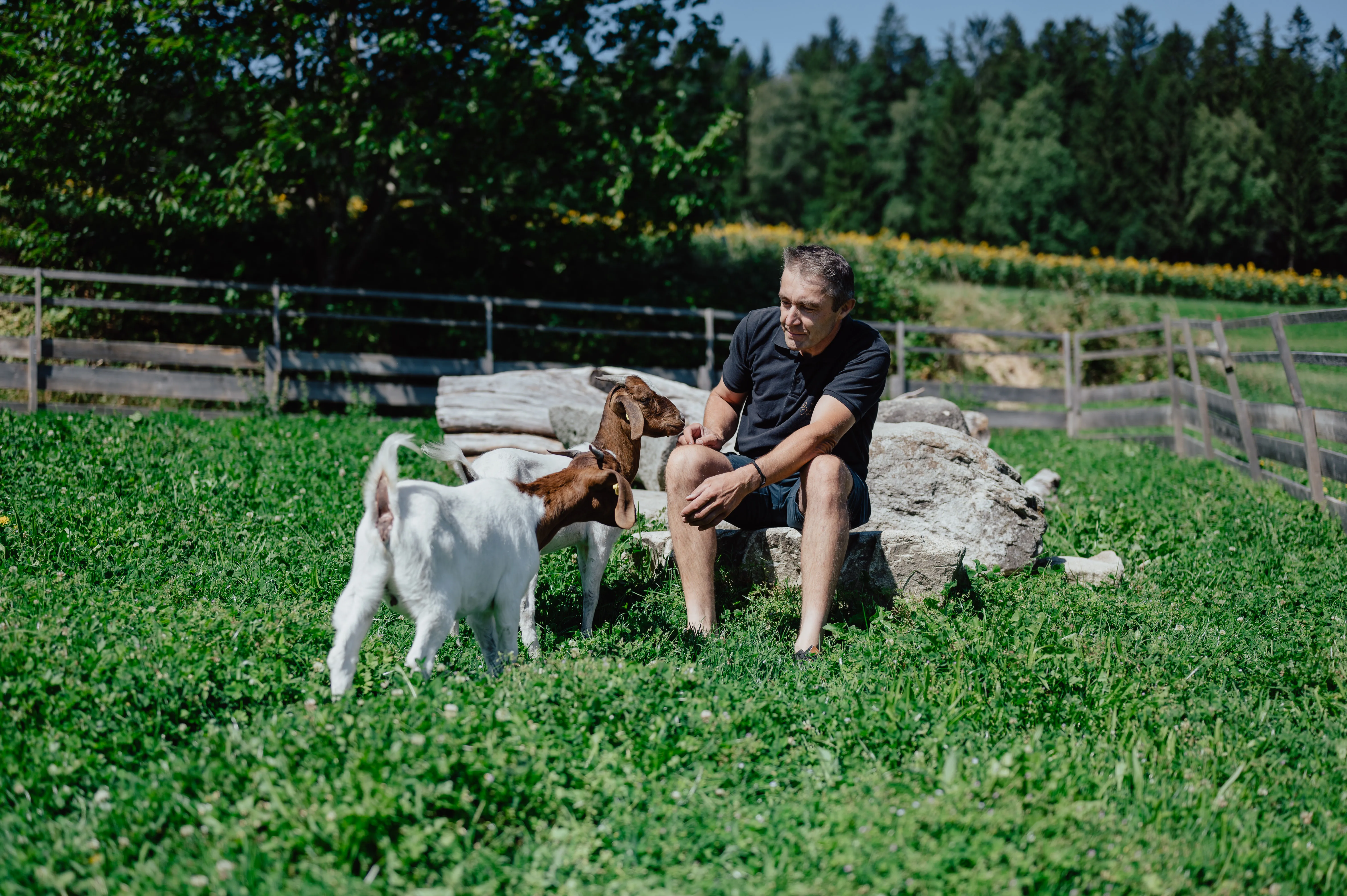 Auf einer grünen Wiese sitzt ein Mann auf einem großen Stein; daneben zwei weiß/braune Ziegen. Im Hintergrund Wald