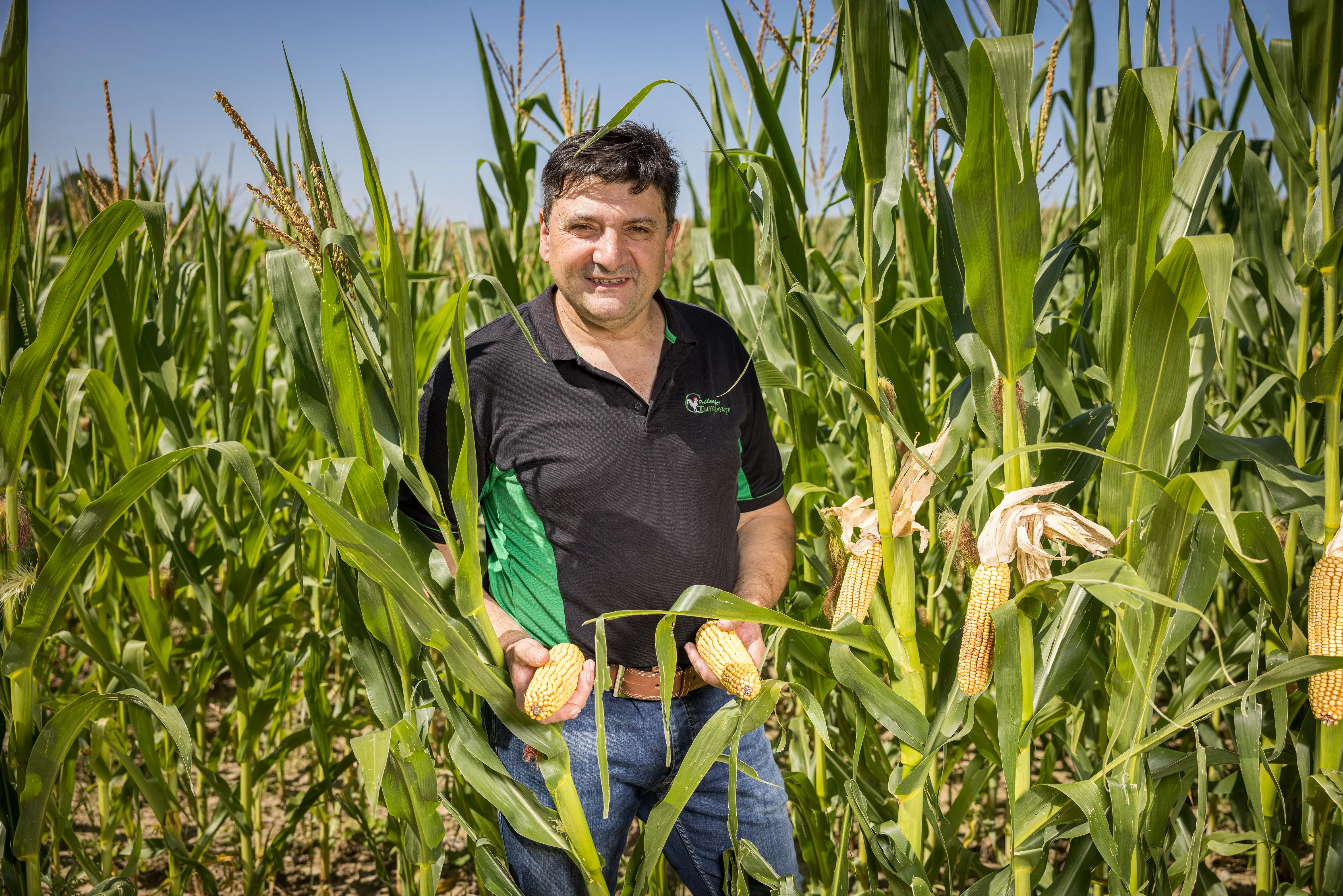 Herr Gumplmayr in schwarzem T-Shirt und Jeans steht mitten in einem grünen Maisfeld