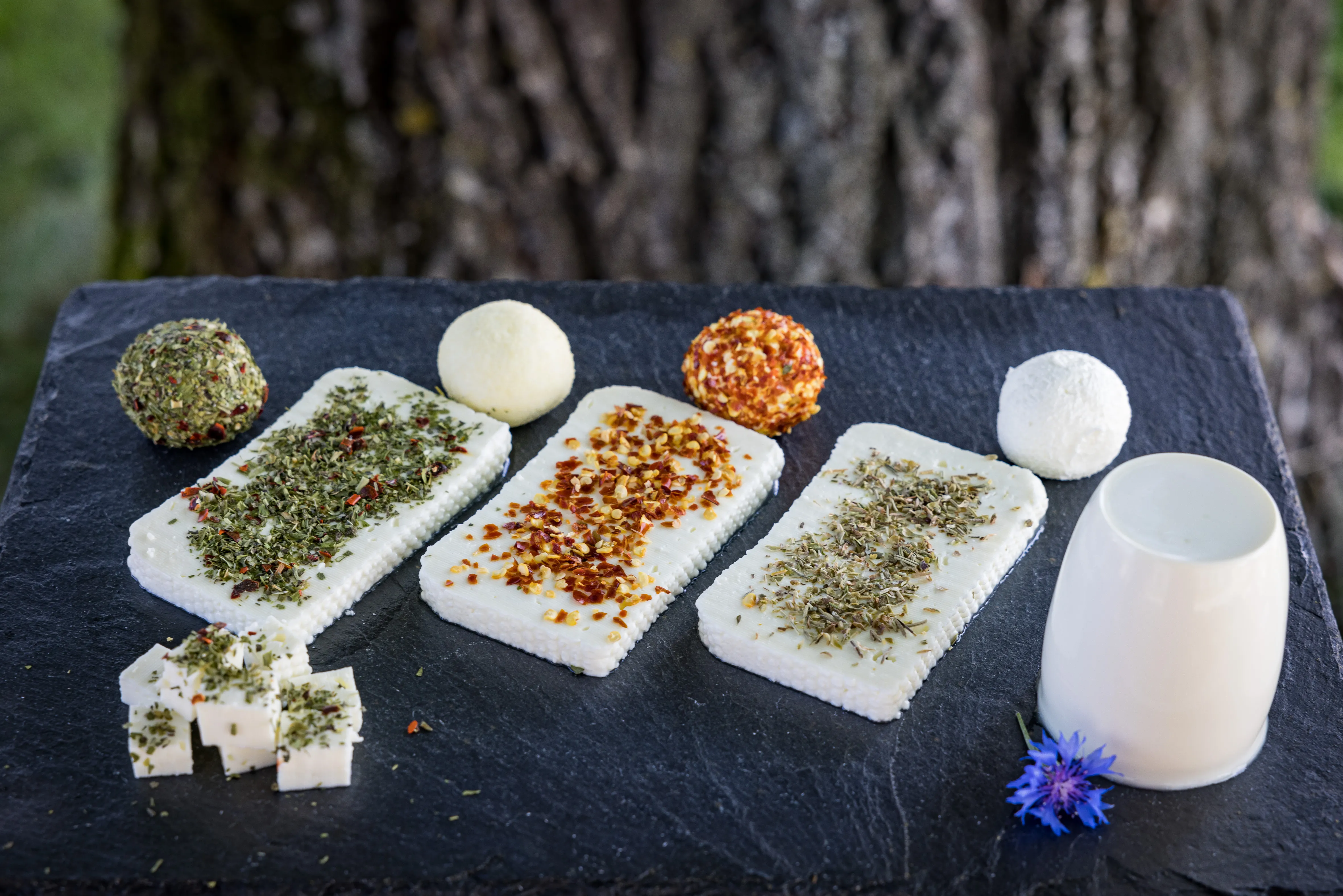 auf einer schwarzen Schieferplatte liegen verschiedene Frischkäse in Form von Scheiben, Gupferl oder Kugeln, garniert mit Kräuter und Chilli
