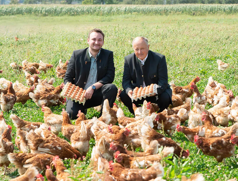 Zwei Männer im Anzug knien auf einer Wiese und halten zwei Eierhöcker mit braunen Eiern in den Händen; ringsum tummeln sich viele braun/weiße Hennen im grünen Gras