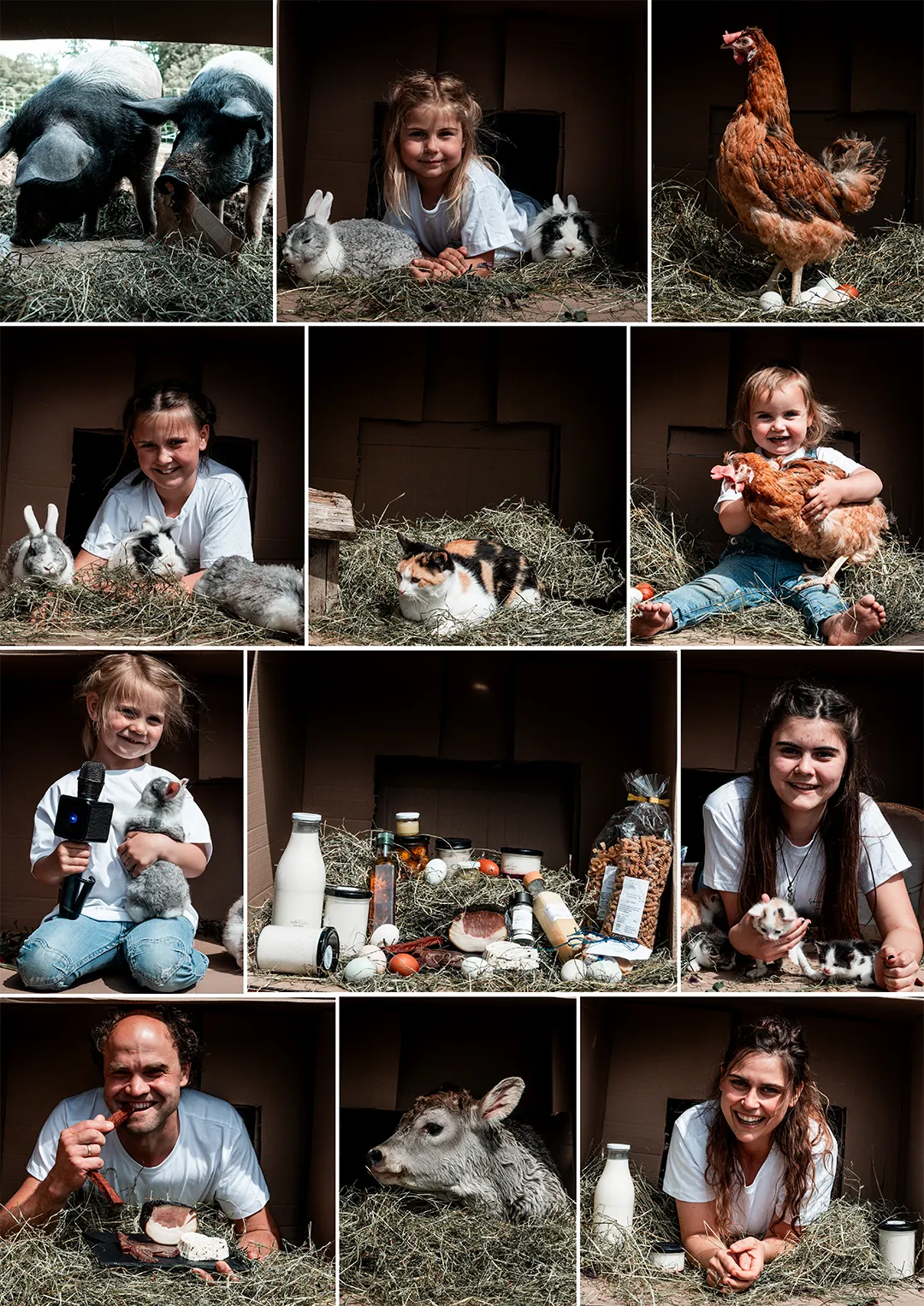 Collage mit Produkte, Tiere, Familie vom Geisbichlgut