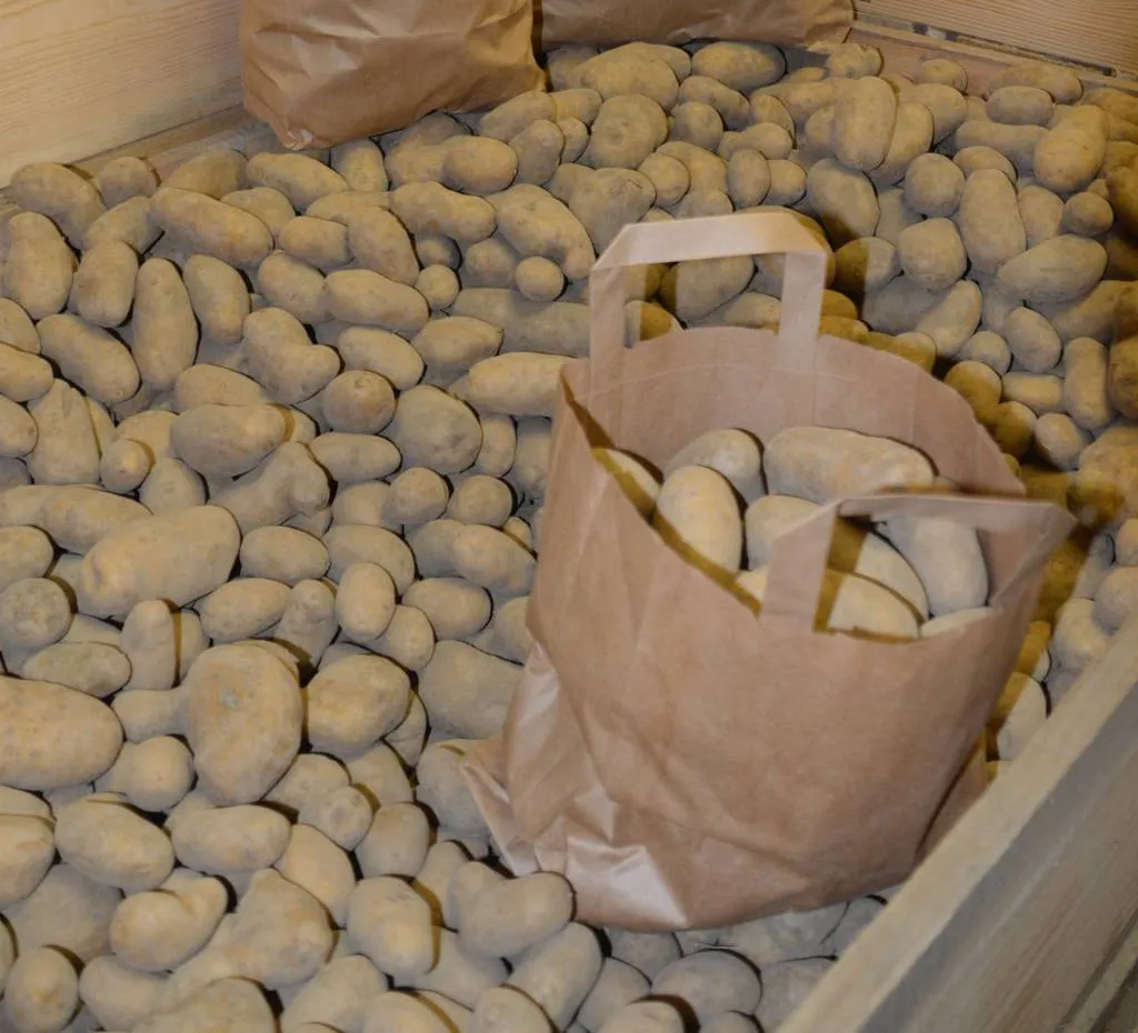 Man sieht eine große Holzschütte gefüllt mit Kartoffeln, darauf steht ein Papiersack ebenfalls mit Kartoffeln