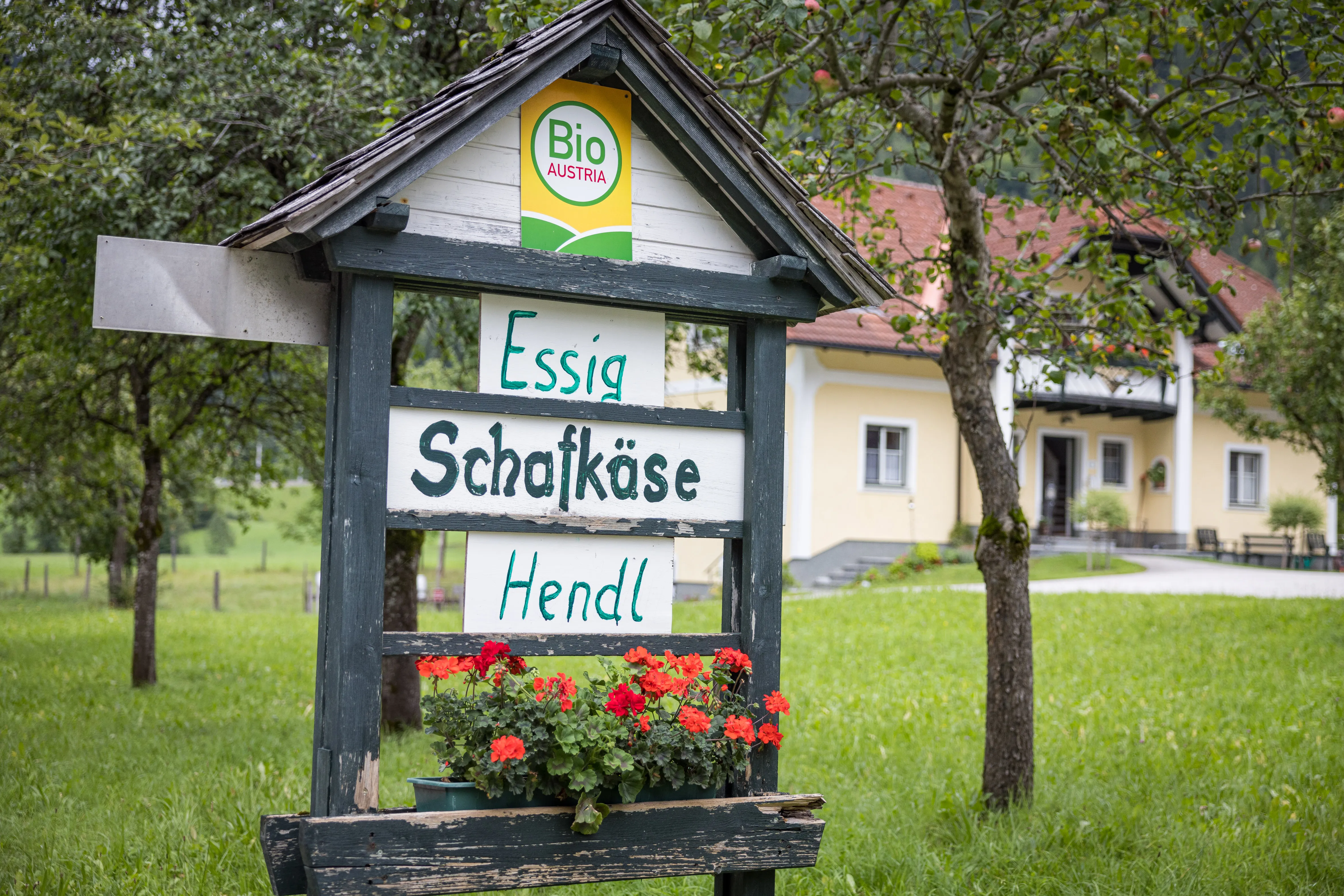 Auf dem Bild ist ein Holzgerüst mit einem drei Schildern (Essig, Schafkäse, Hendl) und einer Blumenkiste mit roten Geranien zu sehen. Dahinter der Bauernhof mit gelber Fassade, davor und daneben grüne Wiese und viele Bäume.