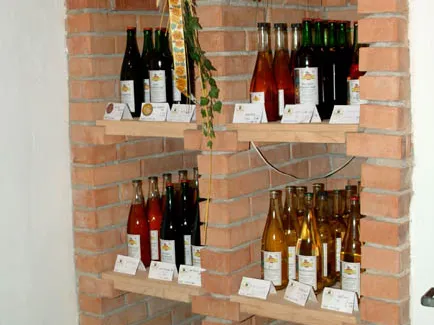 In einem Regal aus roten Ziegelsteinen stehen verschiedene Flaschen mit verschieden farbigem Inhalt, davor beschriftete Kärtchen