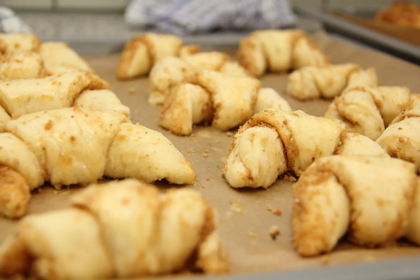 Mehrere ungebackene Hörnchen mit Zimtfüllung auf einem Backblech mit Backpapier.