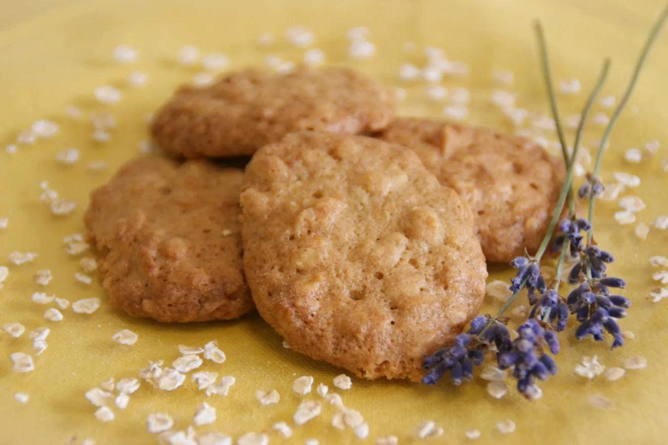Vier runde Haferkekse auf gelbem Untergrund, daneben ein Zweig mit lila Lavendelblüten und verstreute Haferflocken.