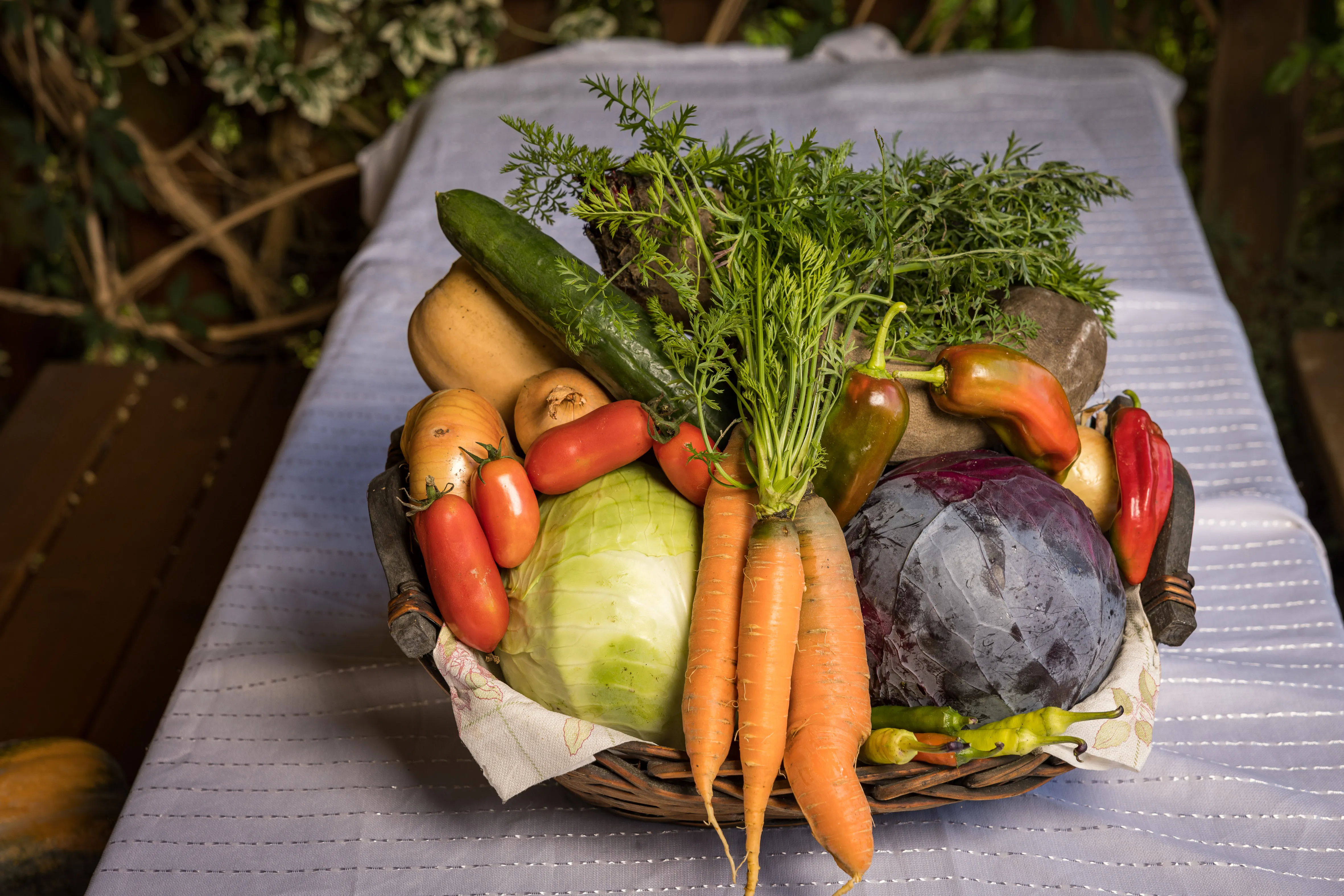 Auf eine Tisch steht ein Korb mit frischem Gemüse wie Kraut, Karotten, Kartoffel, Gurken, Tomaten und Paprika