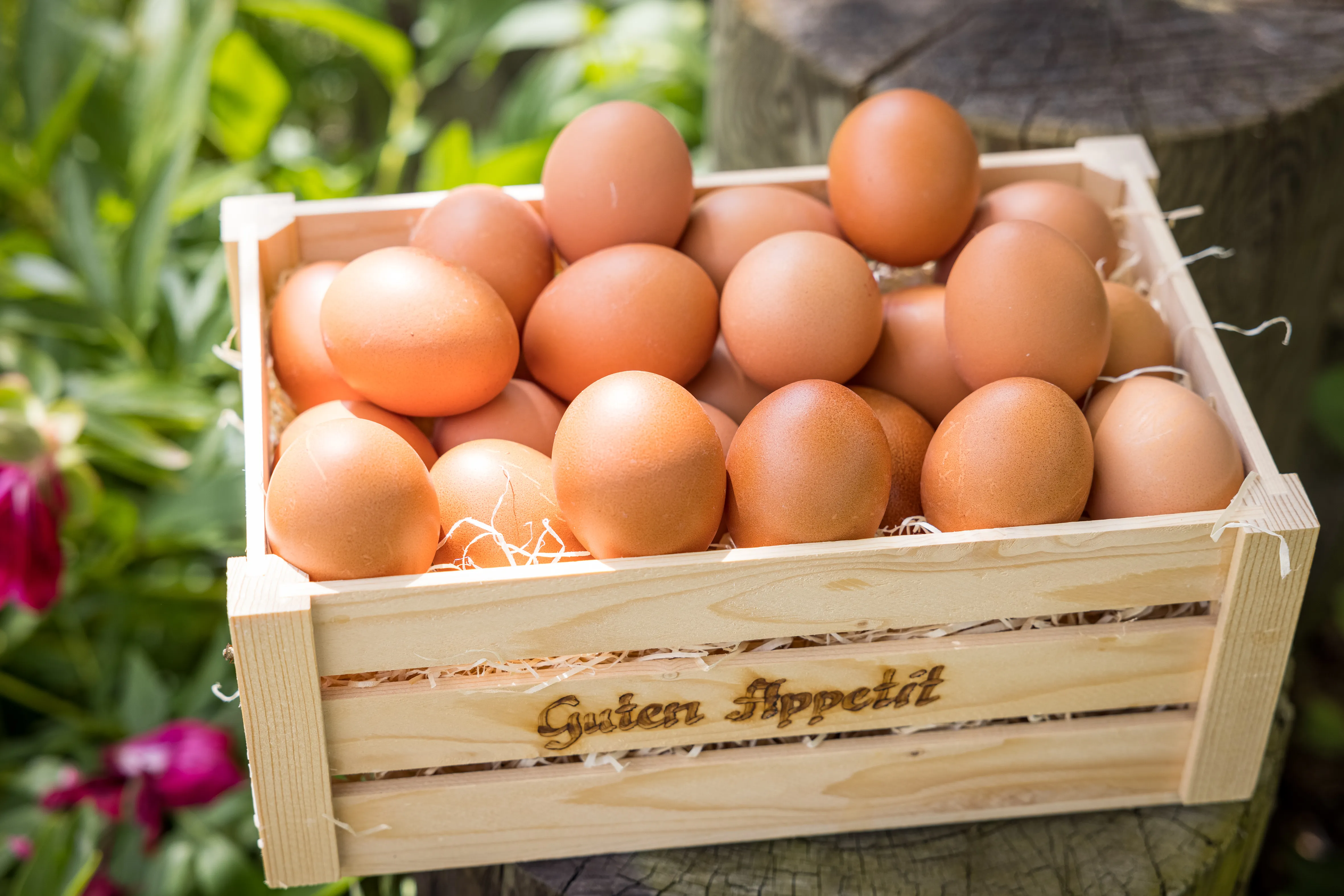 Eine helle Holzkiste ist mit braunen Eiern gefüllt, Aufschrift "Guten Appetit". Dahinter grüne Blätter und Wiese bzw. Baumstumpf