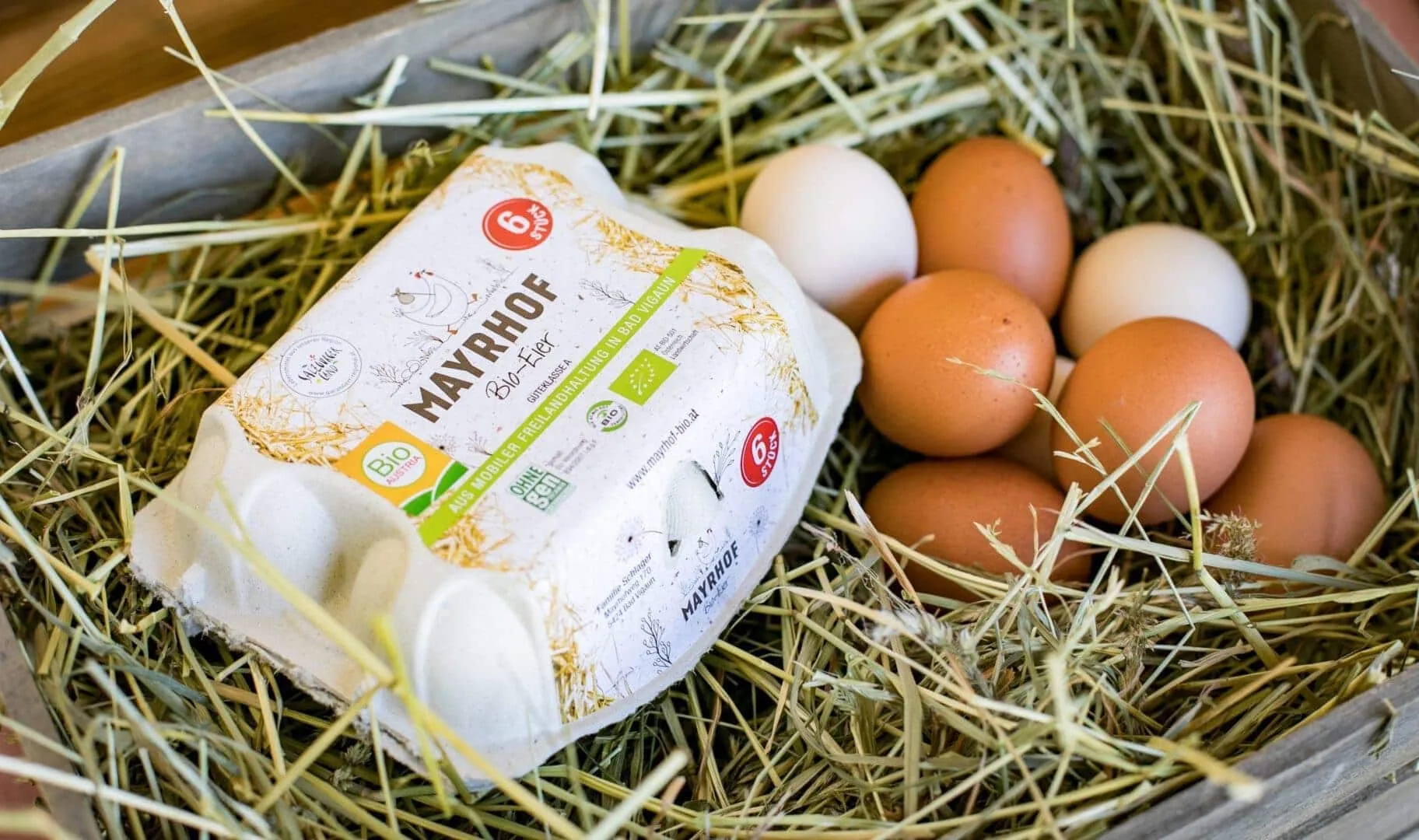 Eier mit Kartonschachtel im Heunest, Familie Schlager