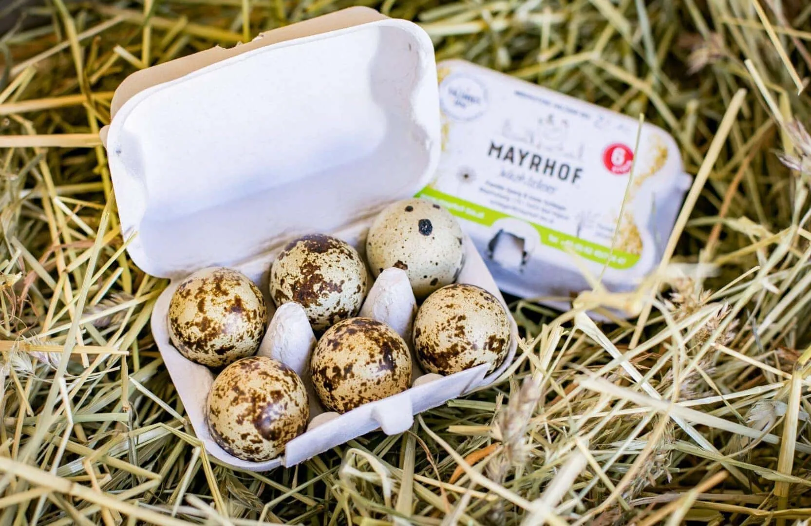 Wachteleier in Kartonschachtel im Heunest