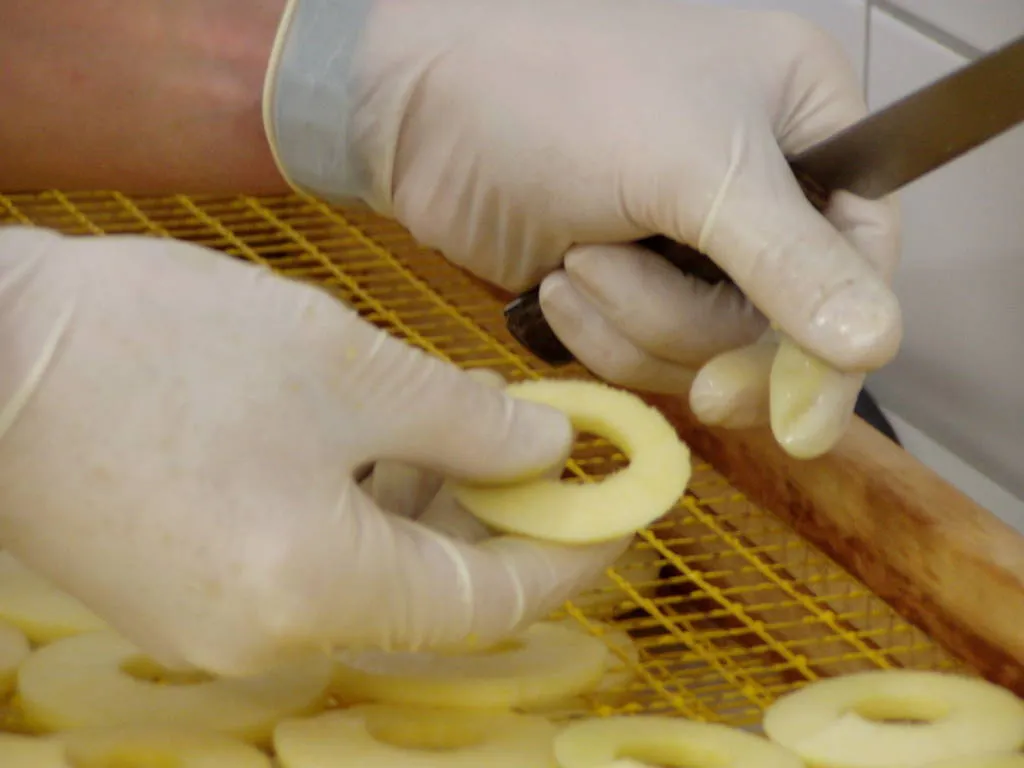 Man sieht zwei Hände in weißen Handschuhen, welche Apfelringe auf ein Gitter schichten. In der zweiten Hand ein Messer
