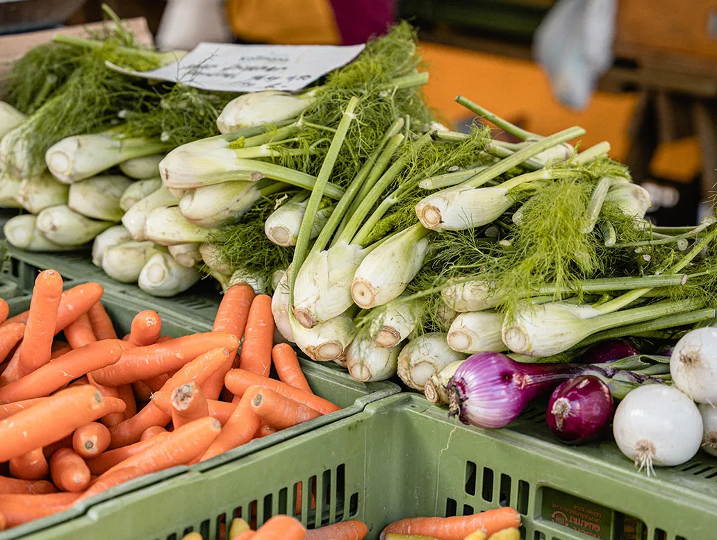 Mehrere Bündel Fenchel mit grünen Stängeln und feinen Blättern, daneben Karotten und Zwiebeln in Kisten auf einem Marktstand.