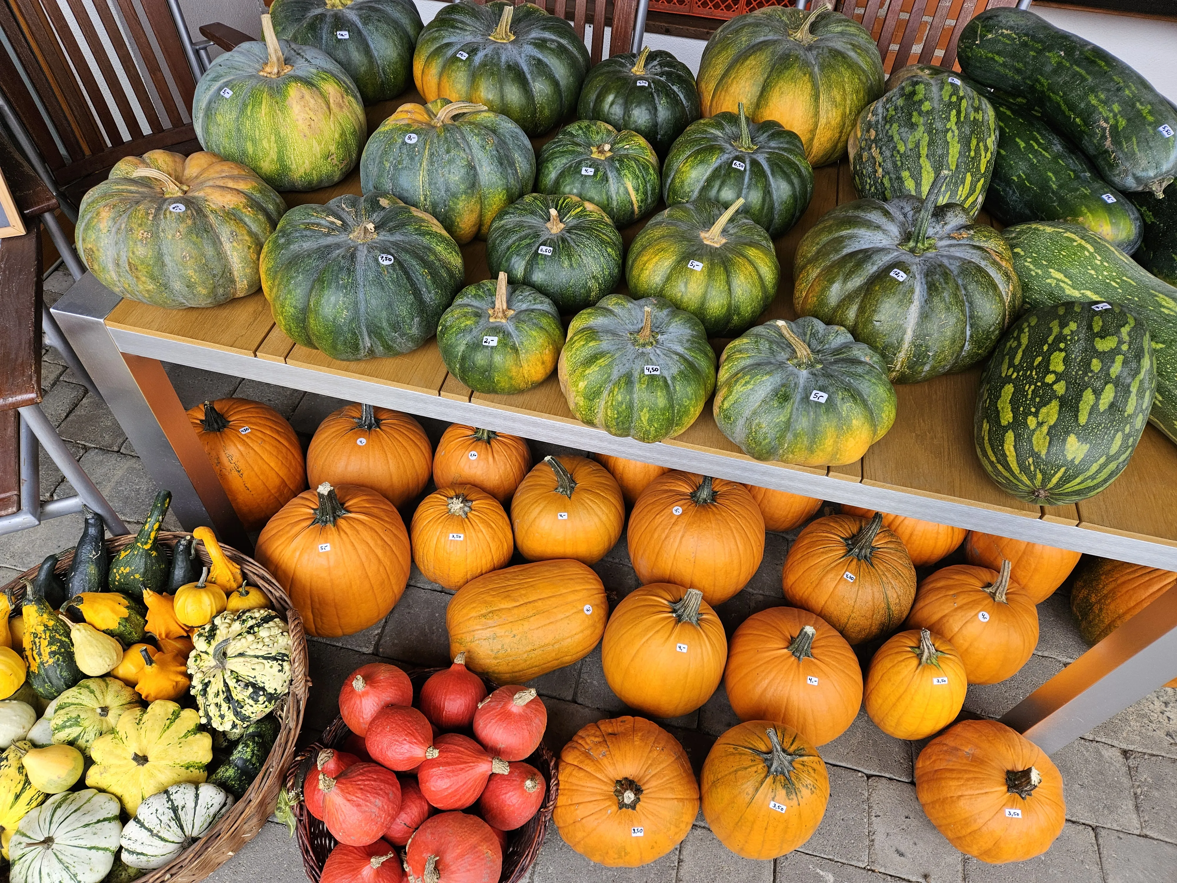 Kürbisse von Brothof Milalkovits 